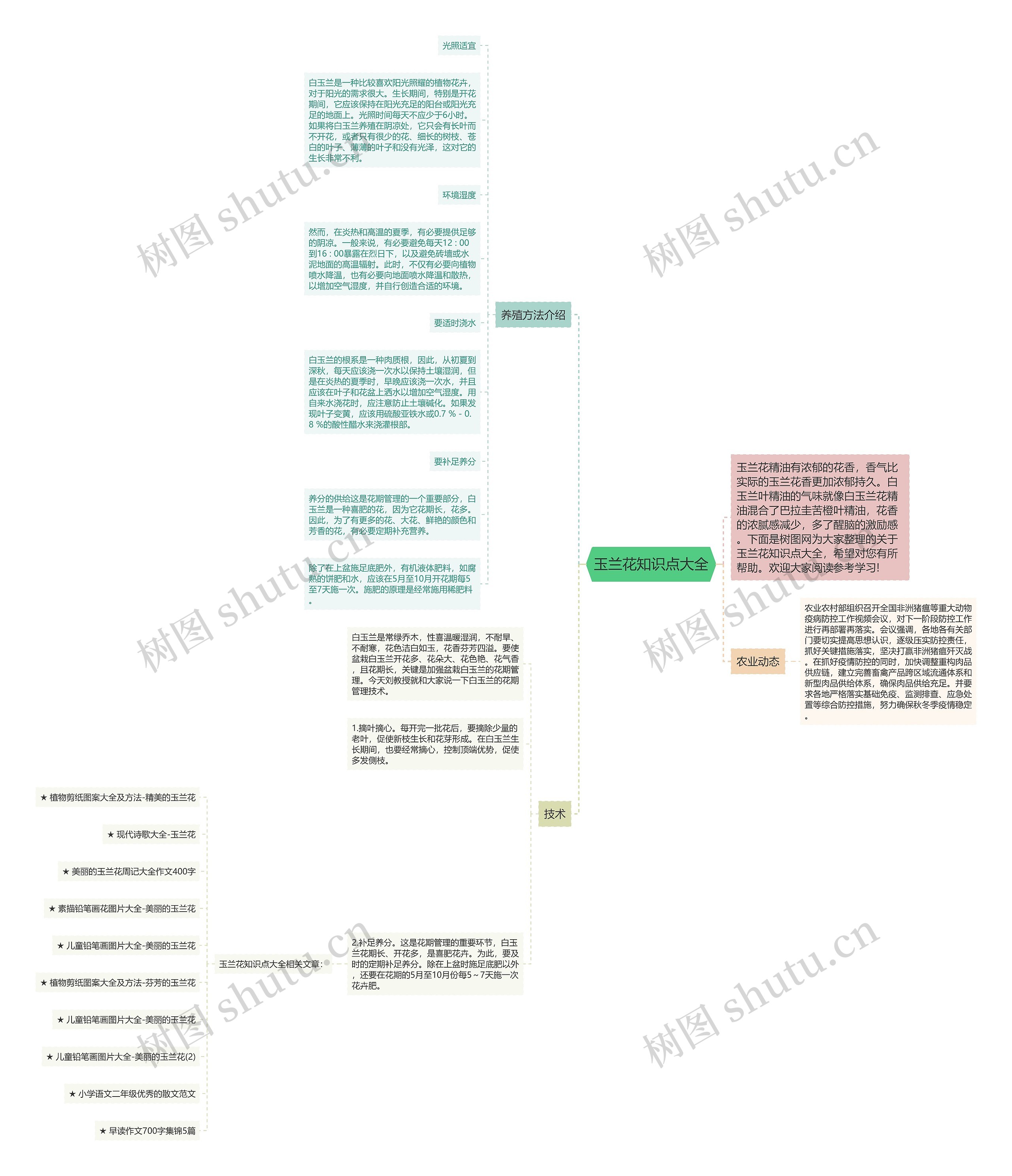 玉兰花知识点大全思维导图