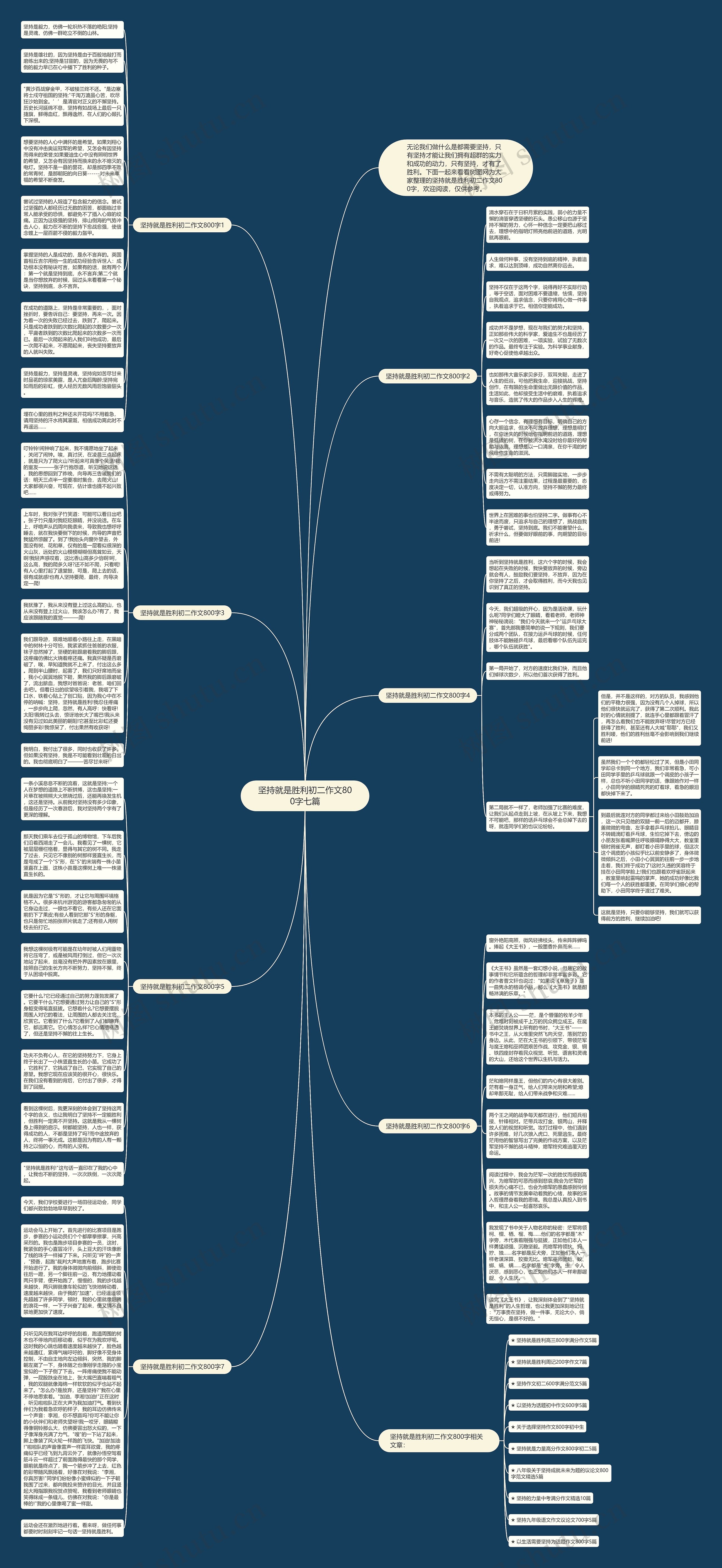 坚持就是胜利初二作文800字七篇思维导图
