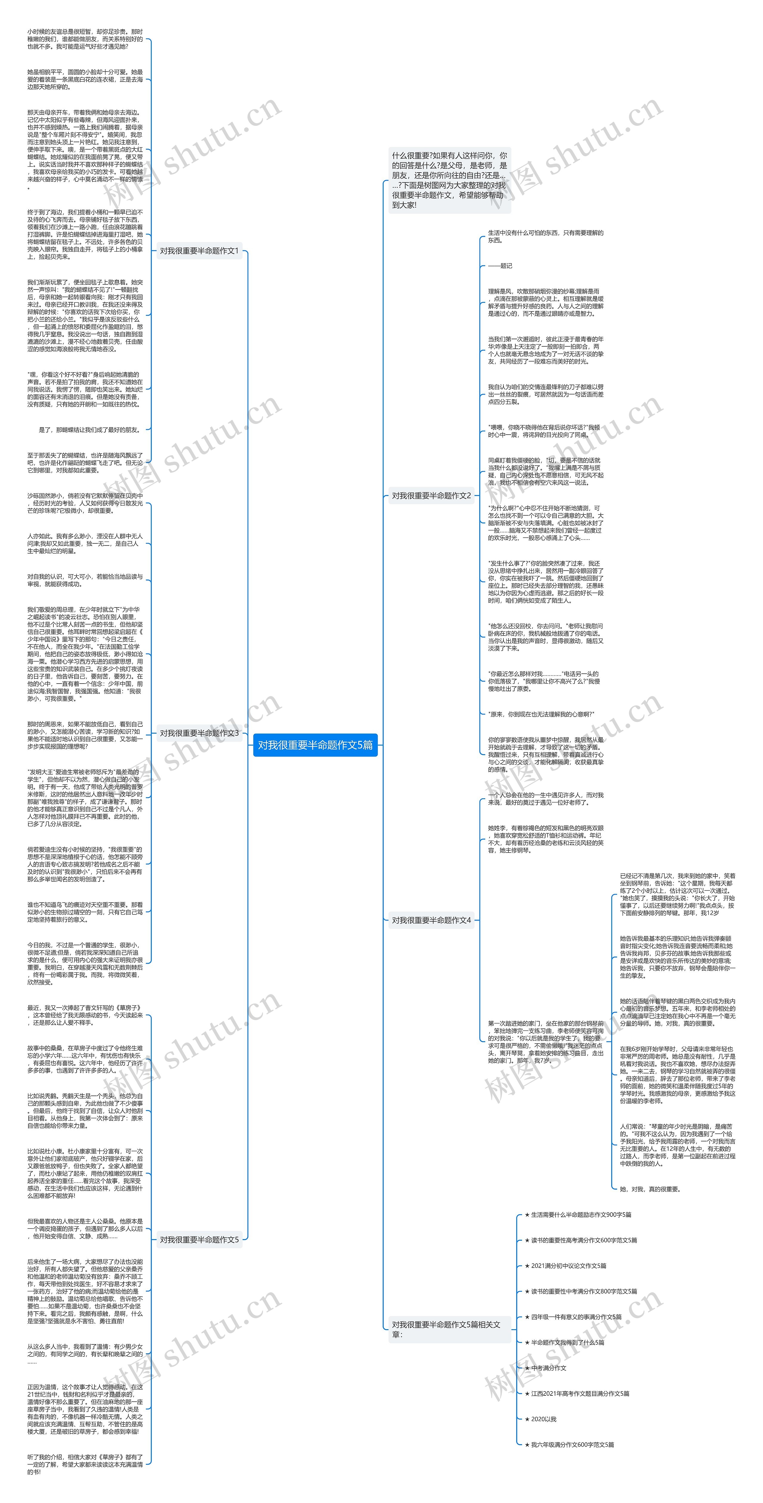 对我很重要半命题作文5篇思维导图