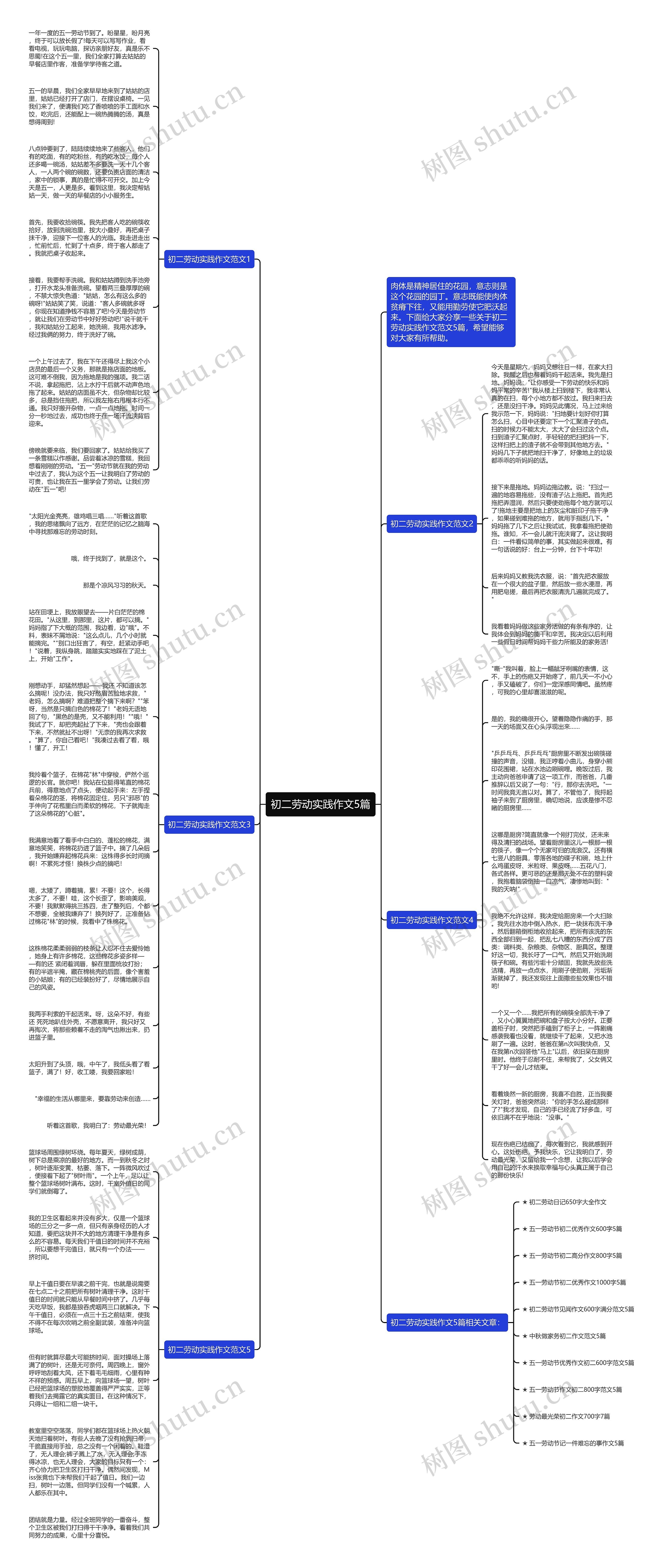 初二劳动实践作文5篇思维导图