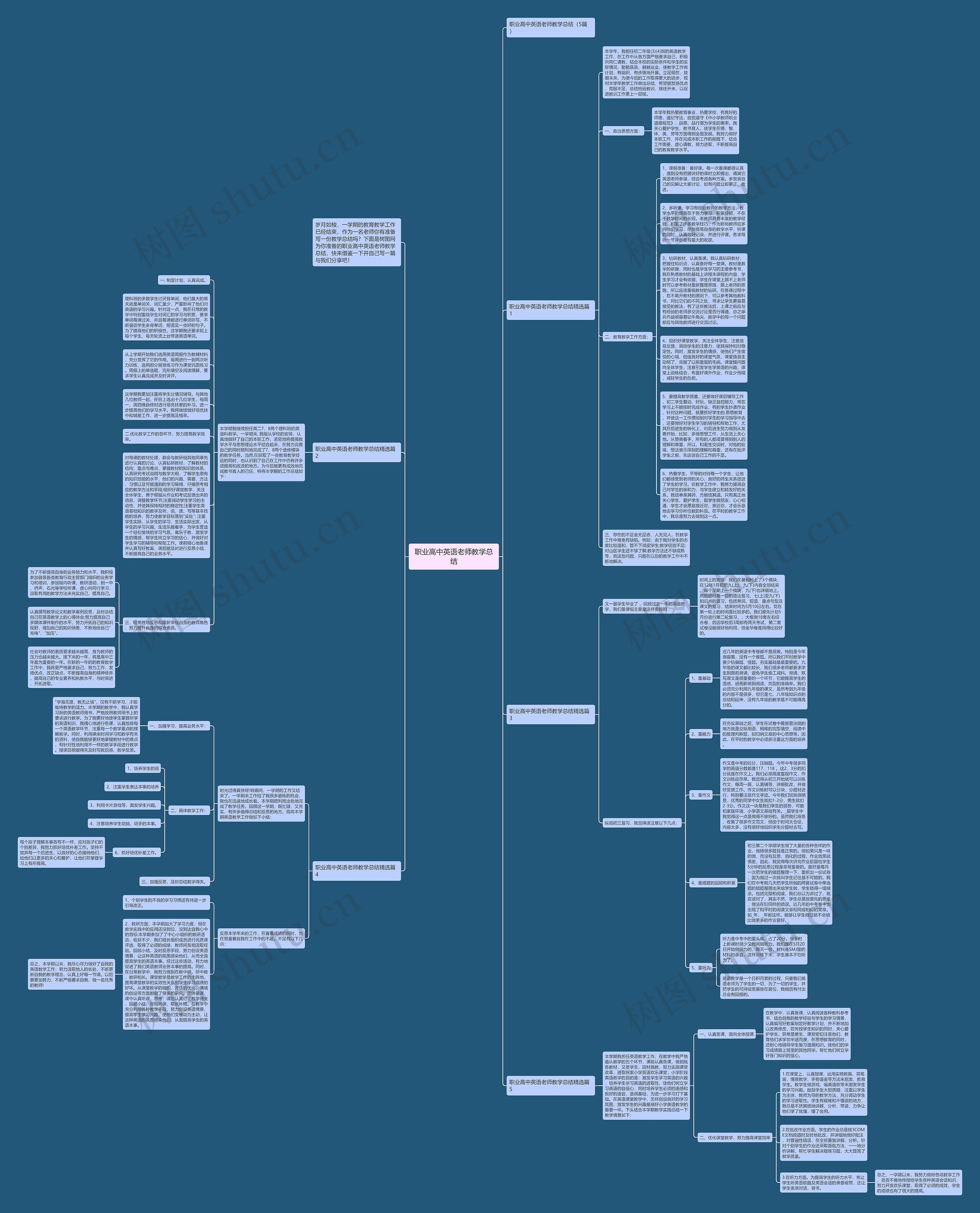 职业高中英语老师教学总结思维导图