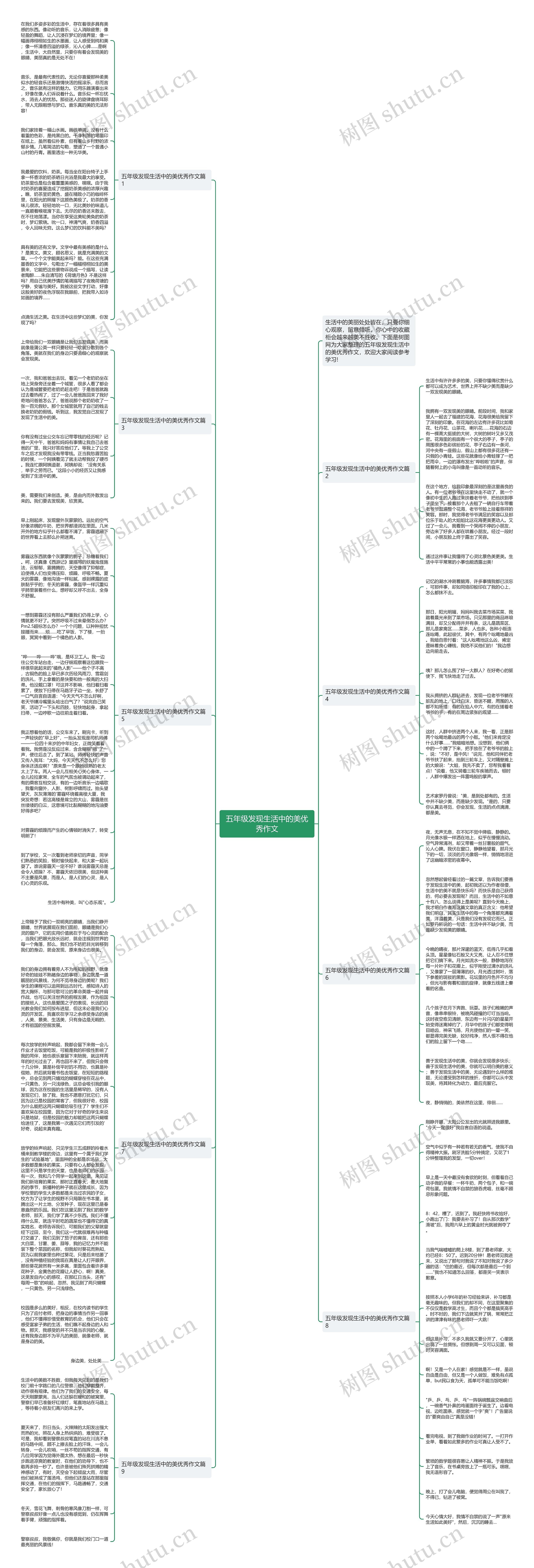 五年级发现生活中的美优秀作文思维导图