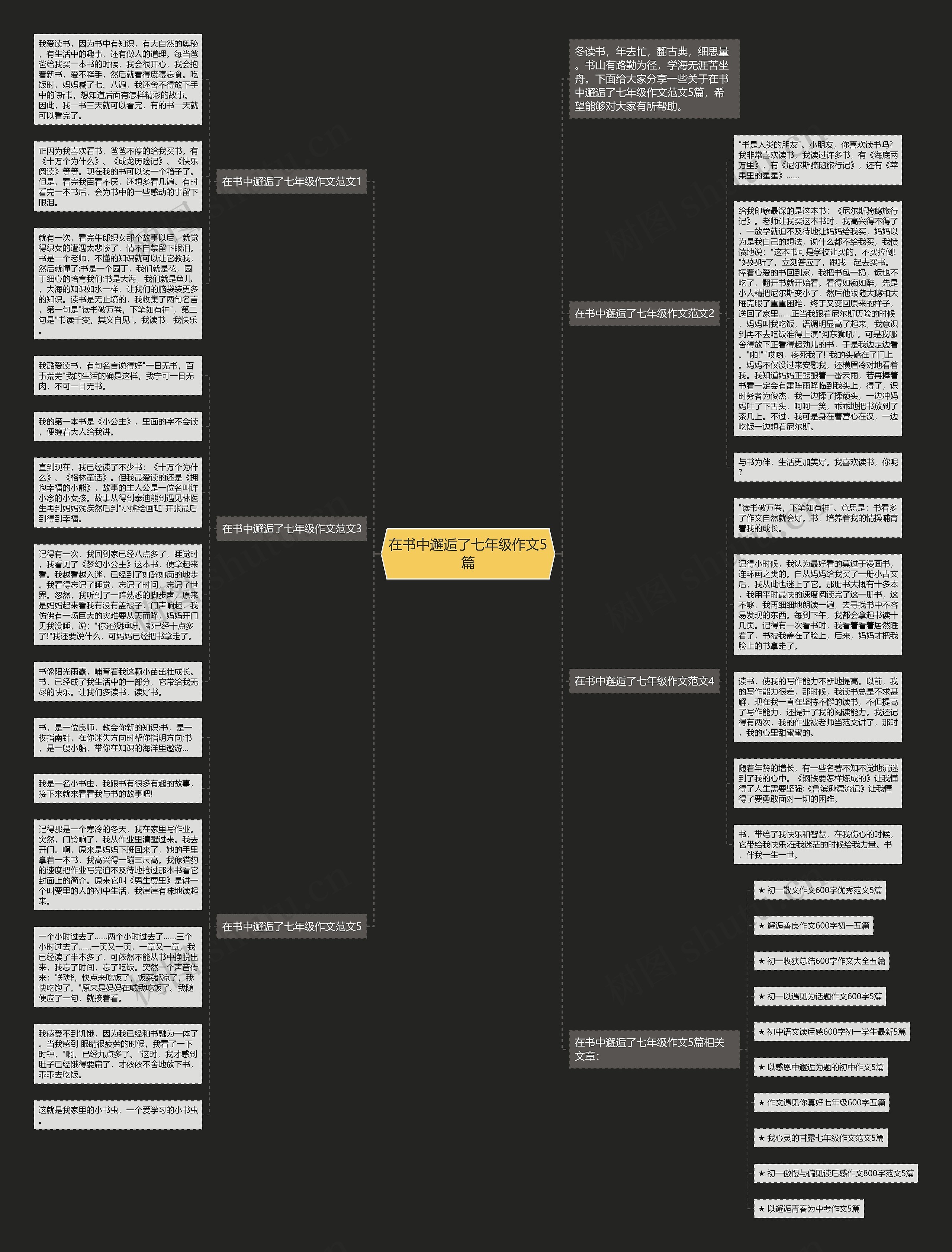 在书中邂逅了七年级作文5篇