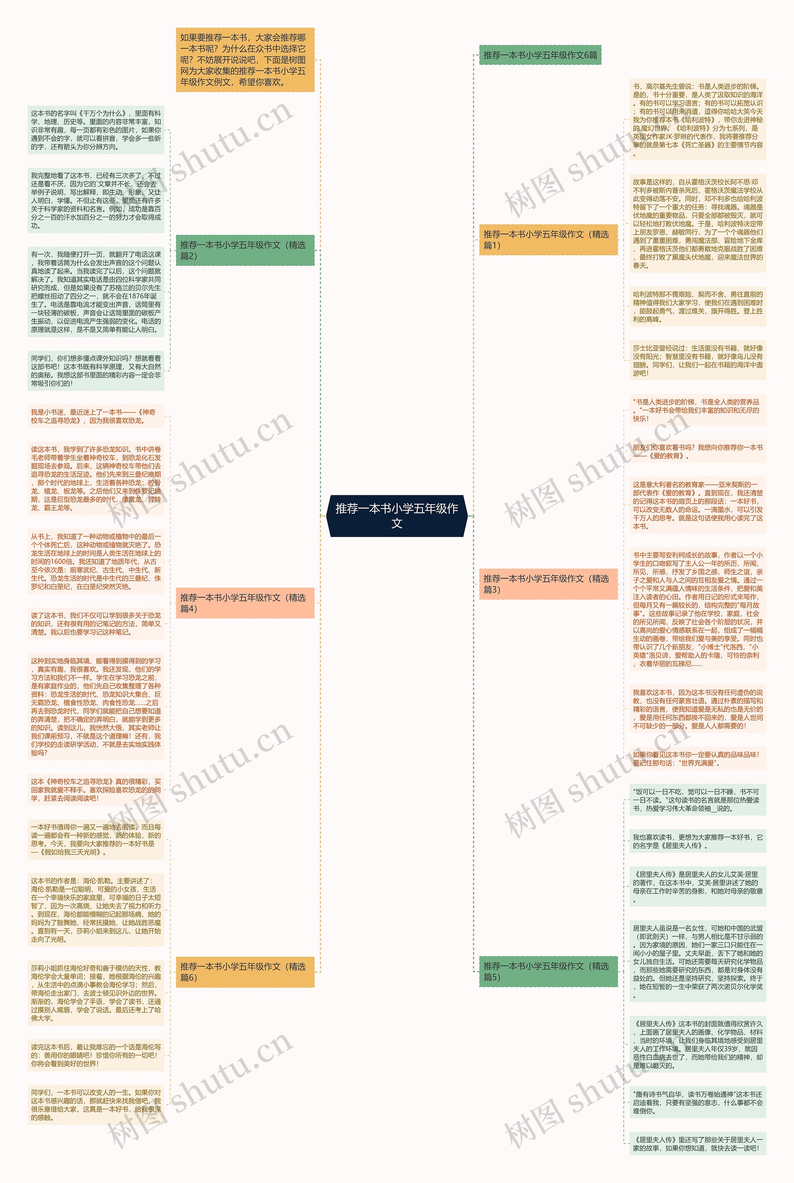 推荐一本书小学五年级作文思维导图