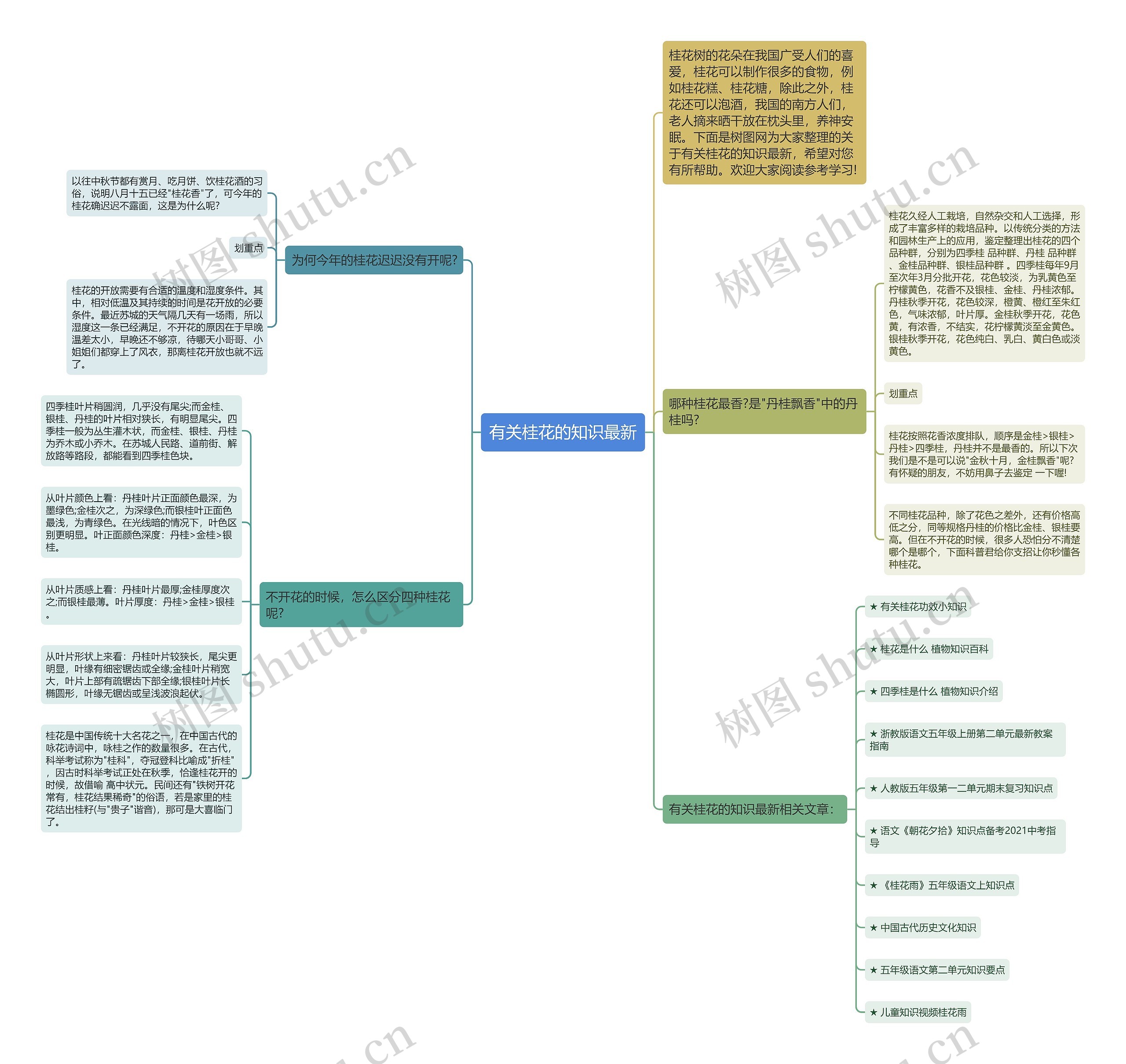 有关桂花的知识最新思维导图