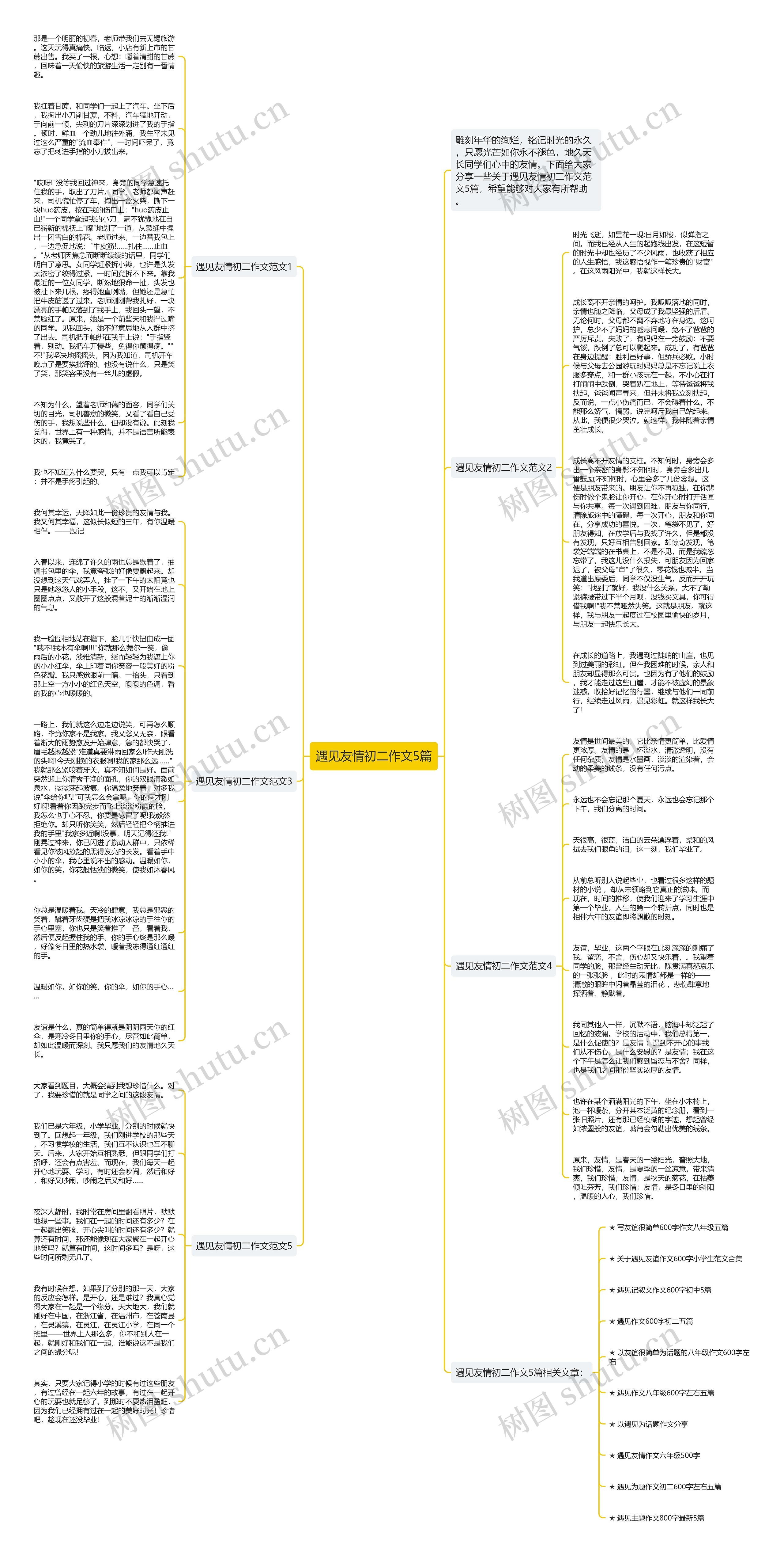 遇见友情初二作文5篇思维导图