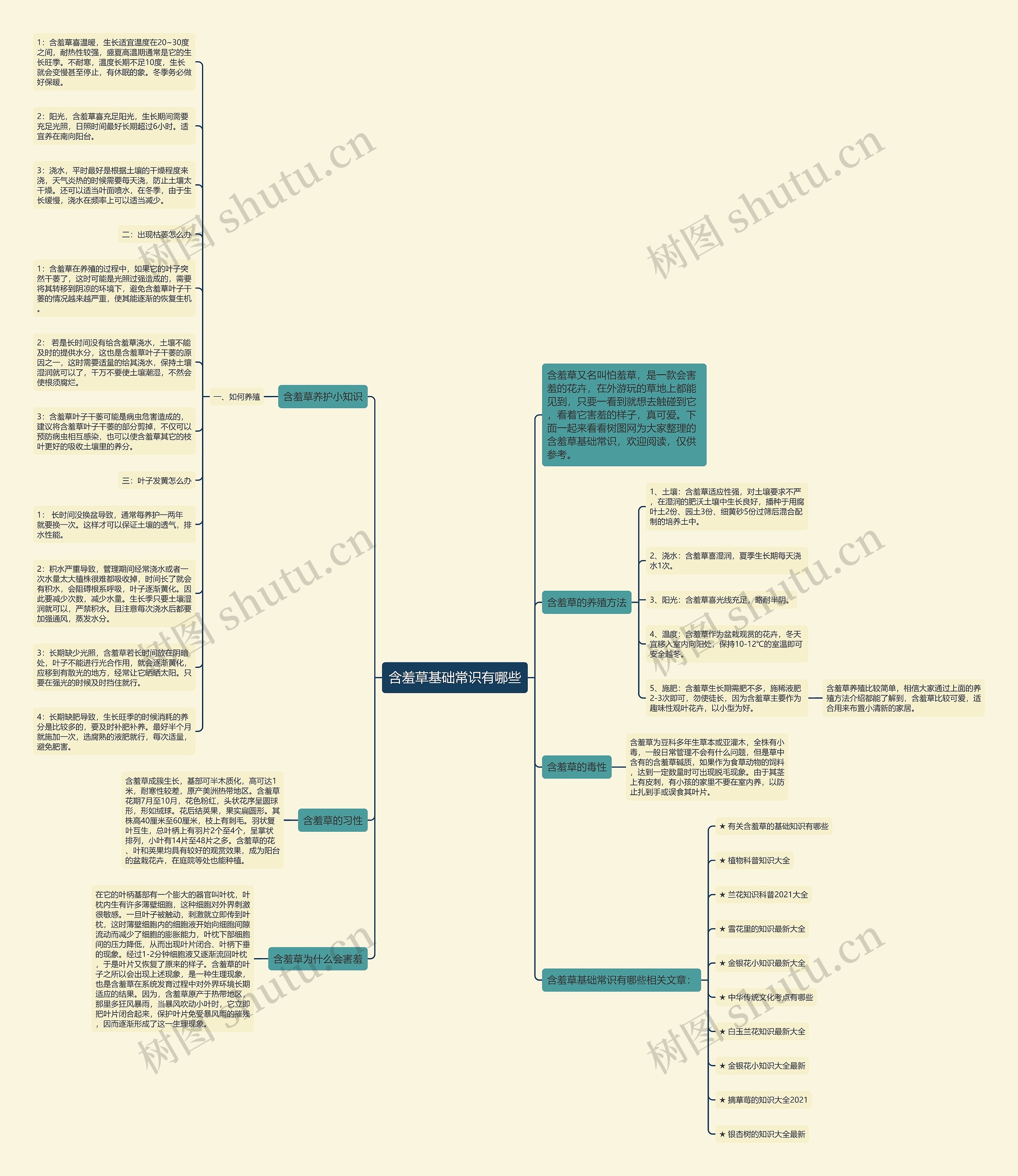含羞草基础常识有哪些思维导图