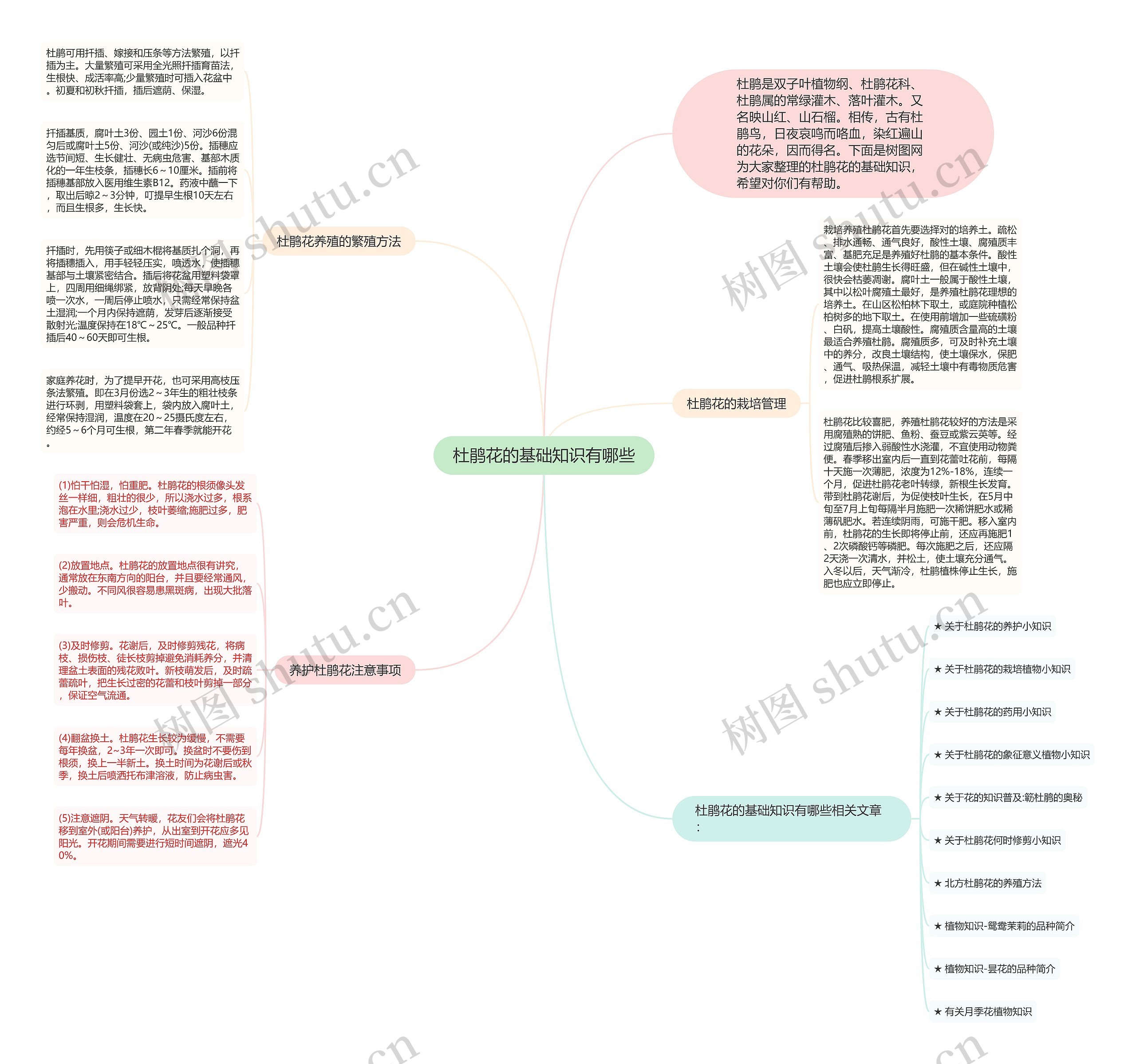 杜鹃花的基础知识有哪些思维导图