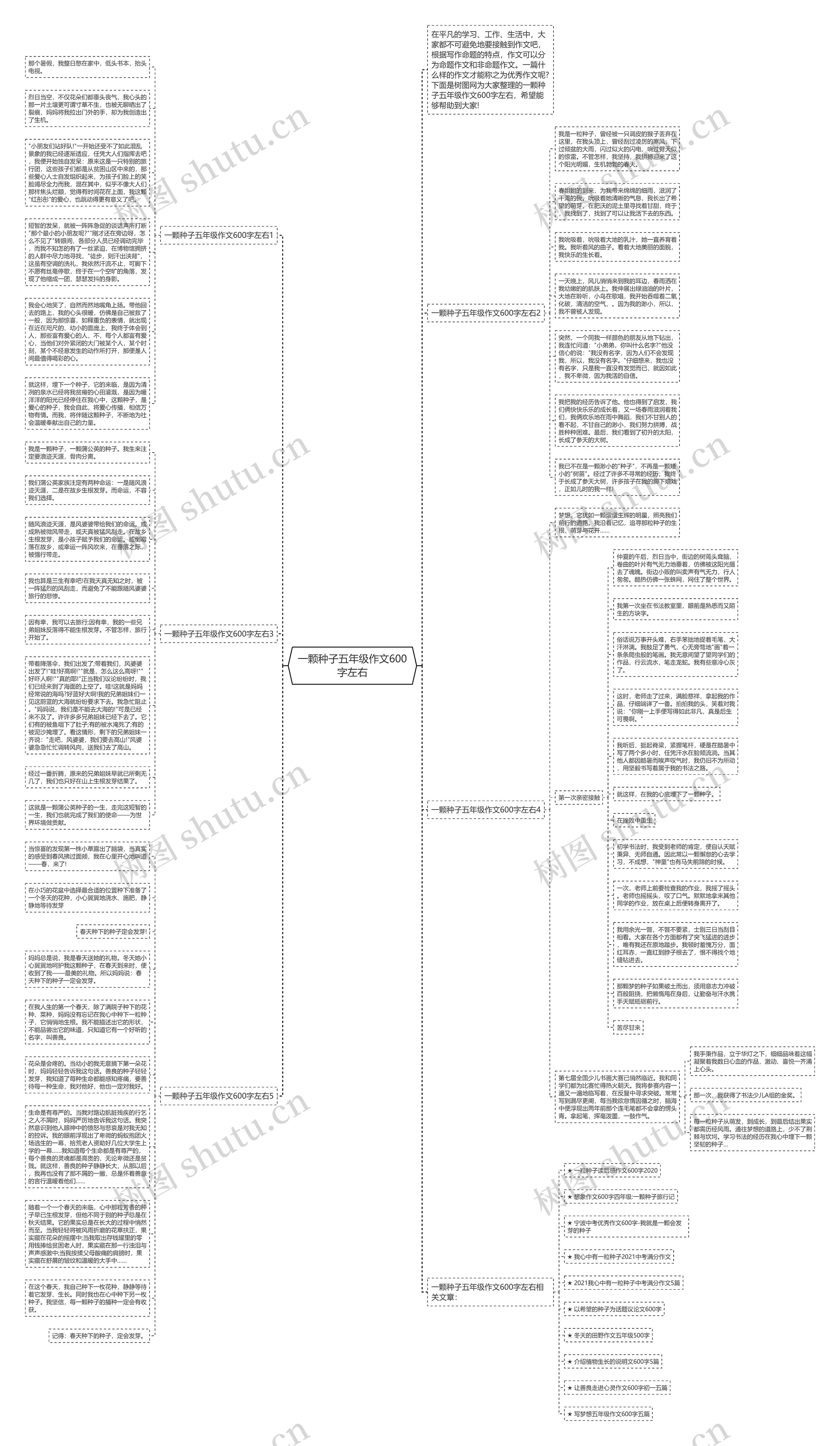 一颗种子五年级作文600字左右思维导图