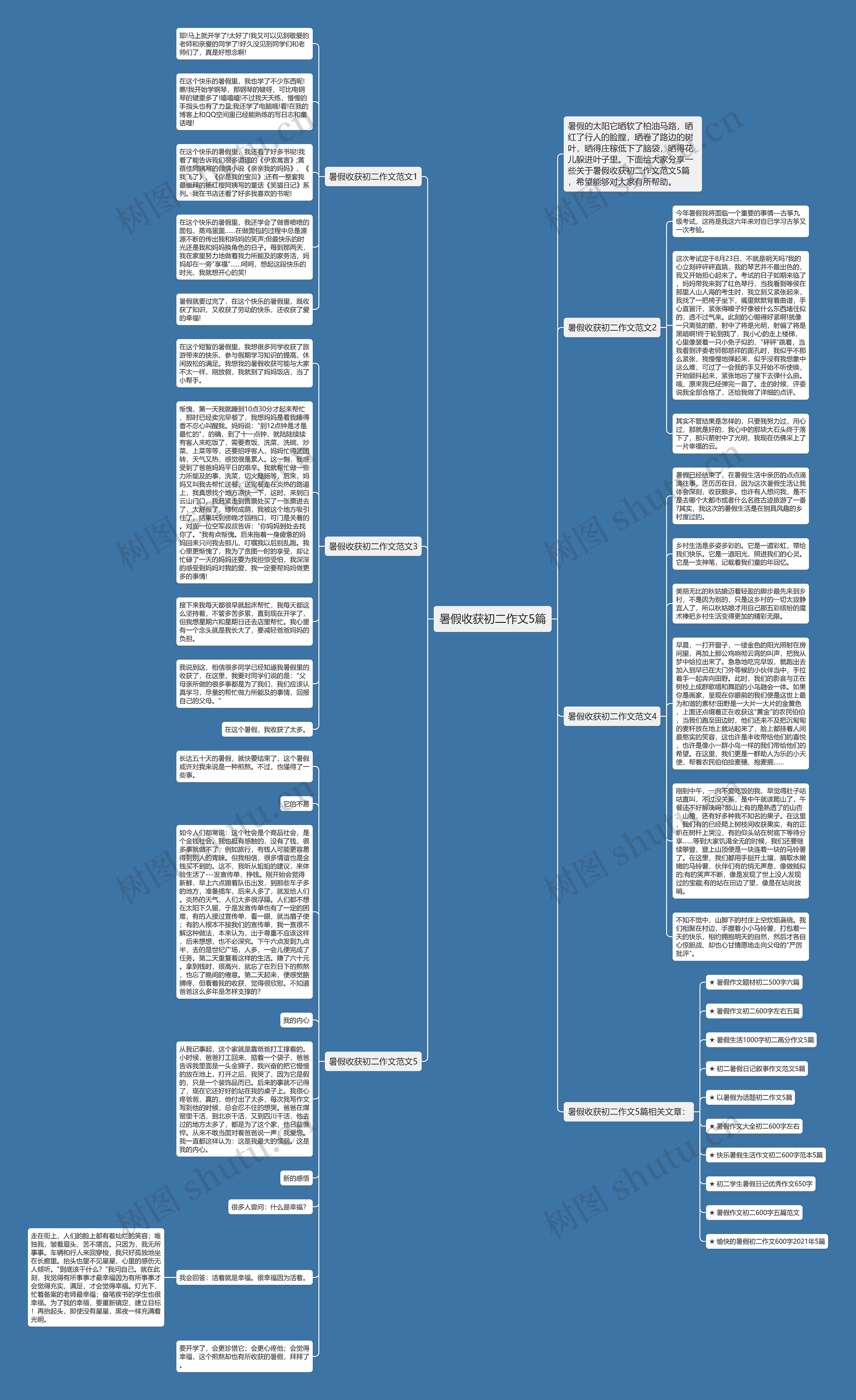 暑假收获初二作文5篇思维导图