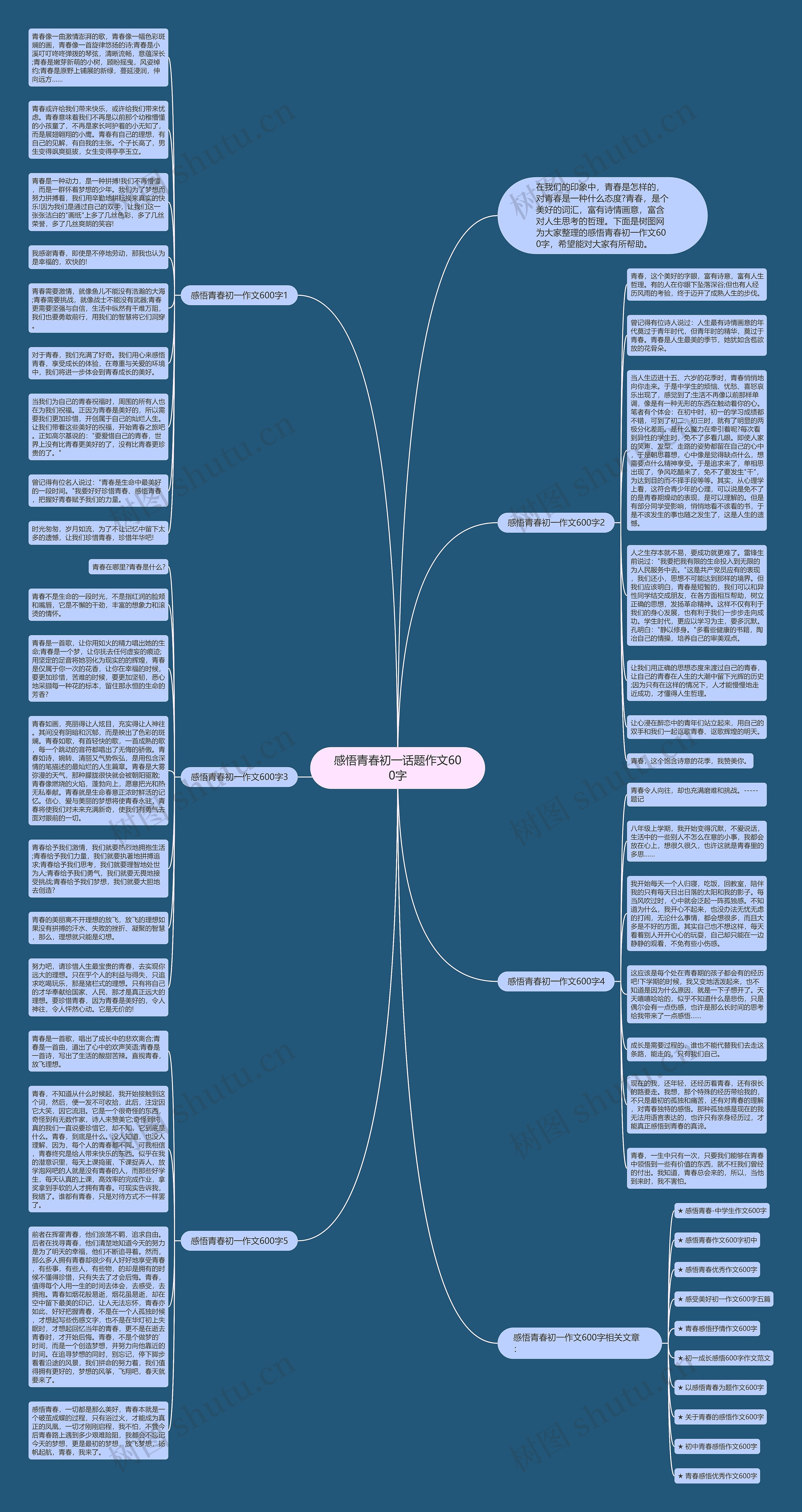 感悟青春初一话题作文600字思维导图