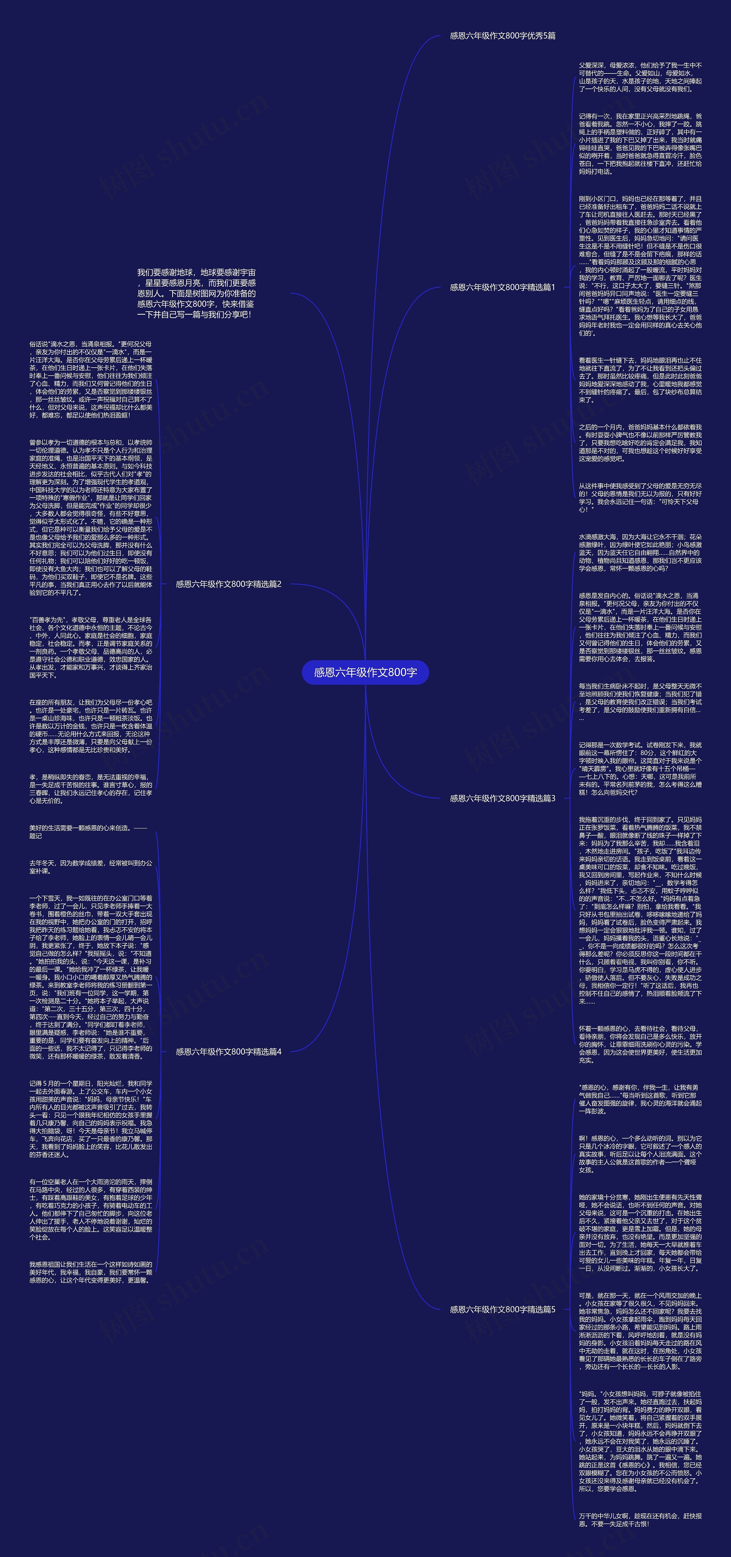 感恩六年级作文800字思维导图