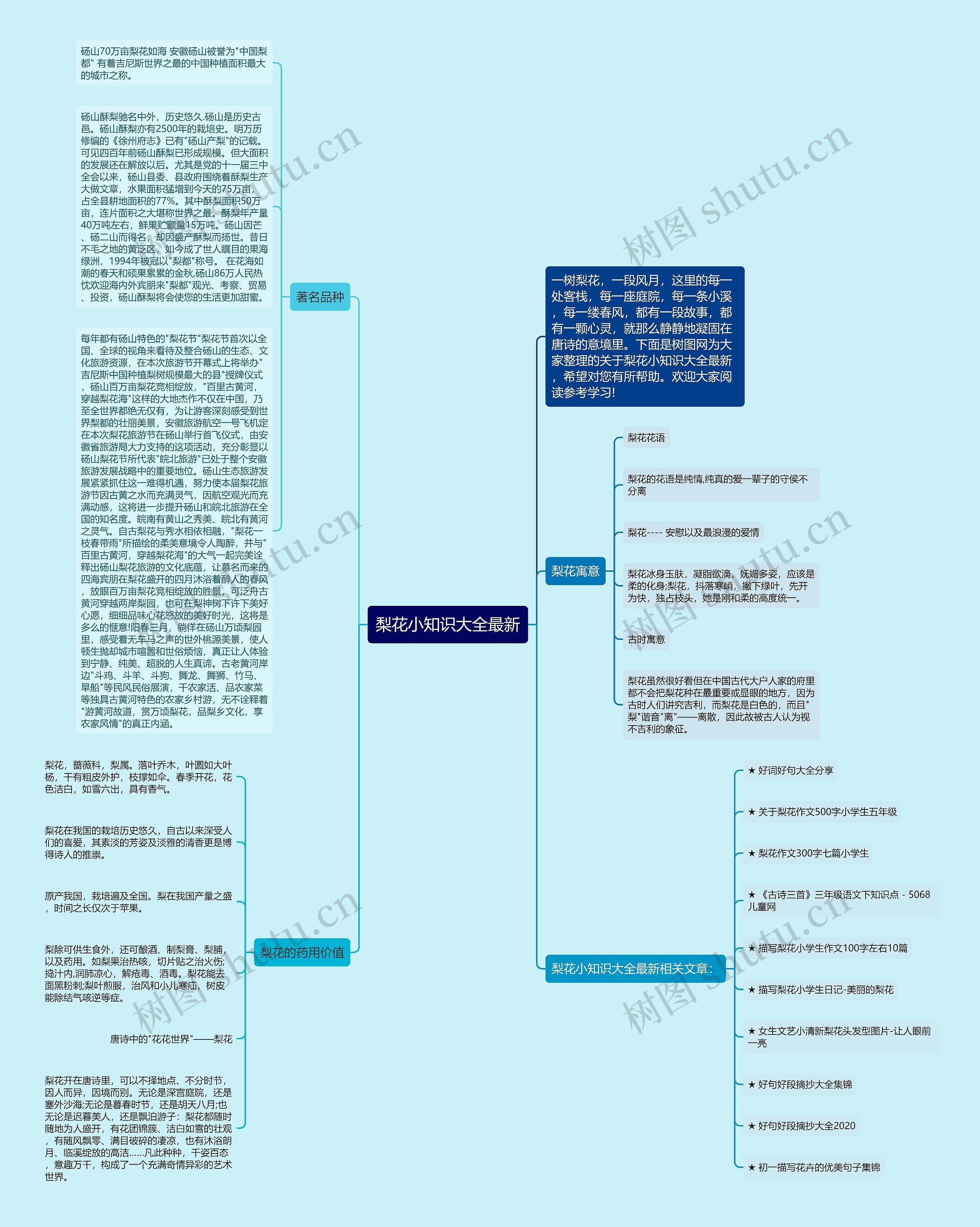 梨花小知识大全最新思维导图