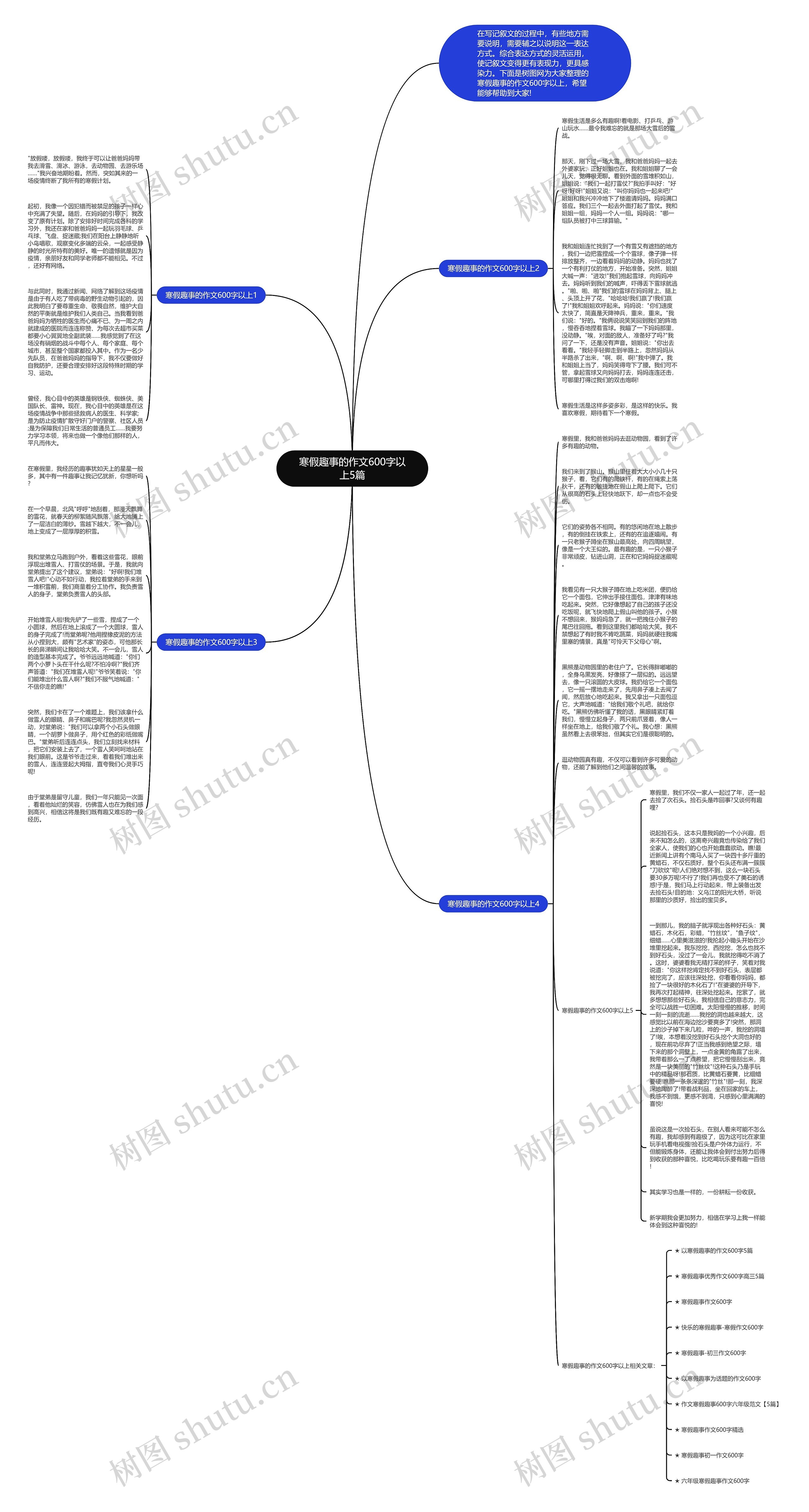 寒假趣事的作文600字以上5篇思维导图
