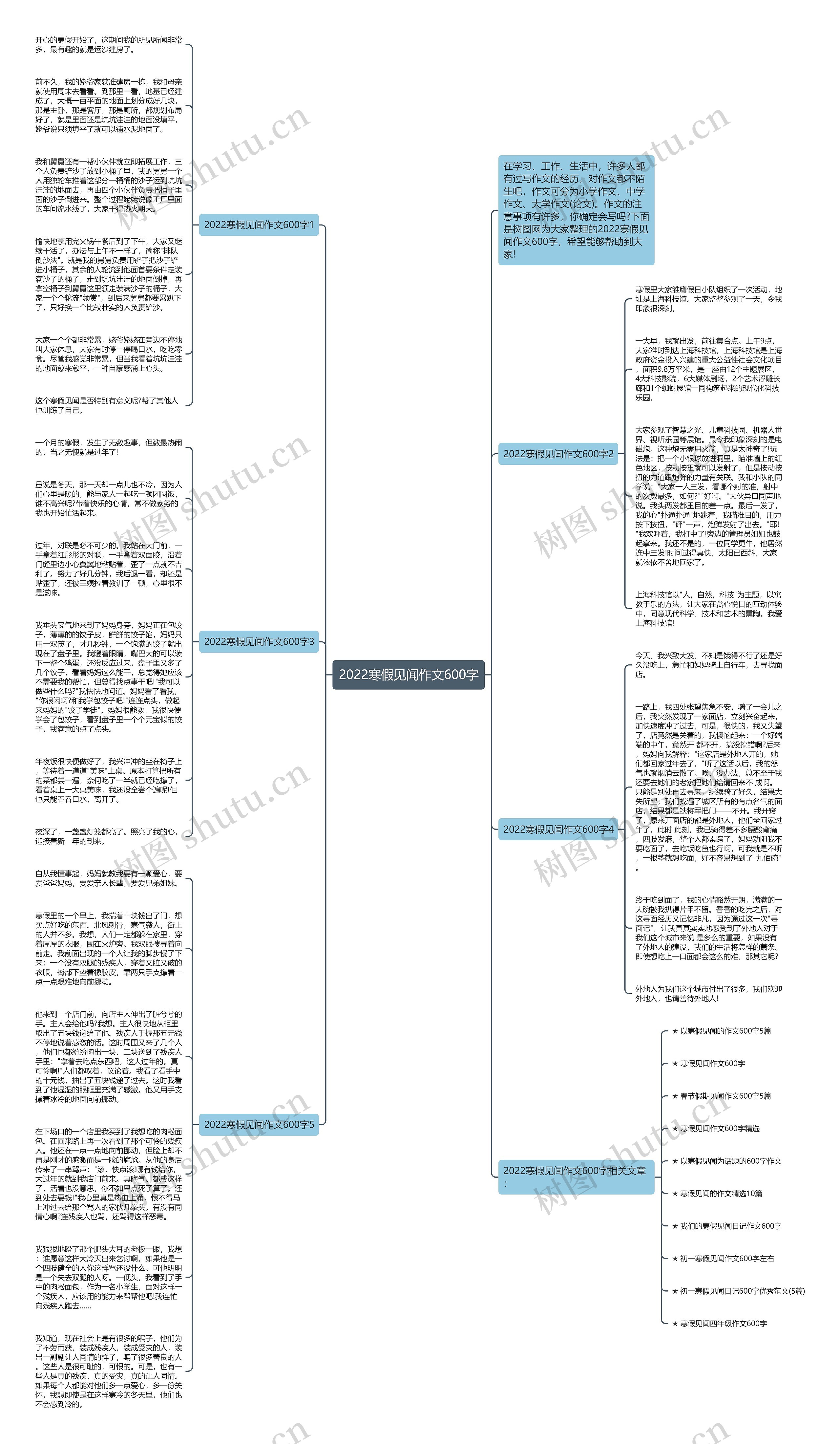 2022寒假见闻作文600字思维导图