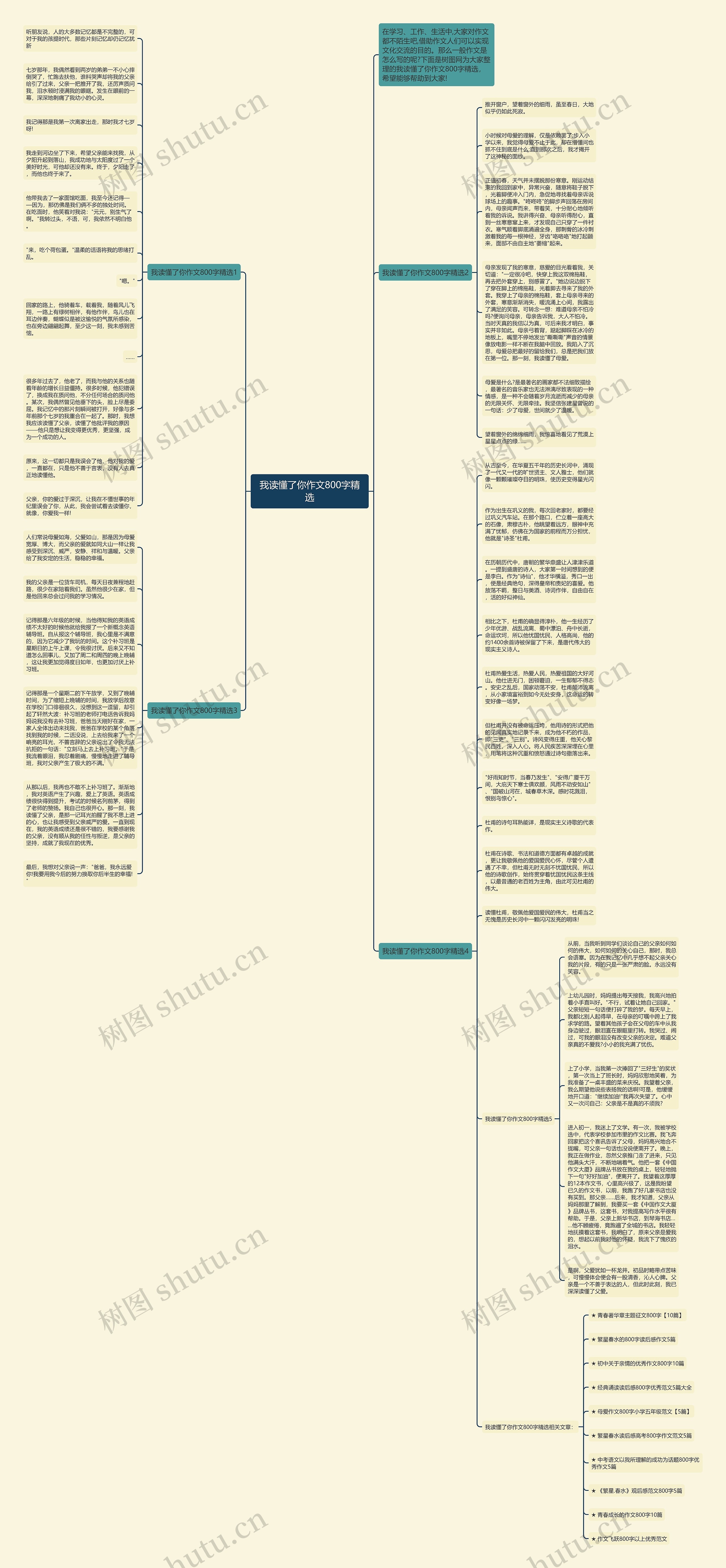 我读懂了你作文800字精选思维导图