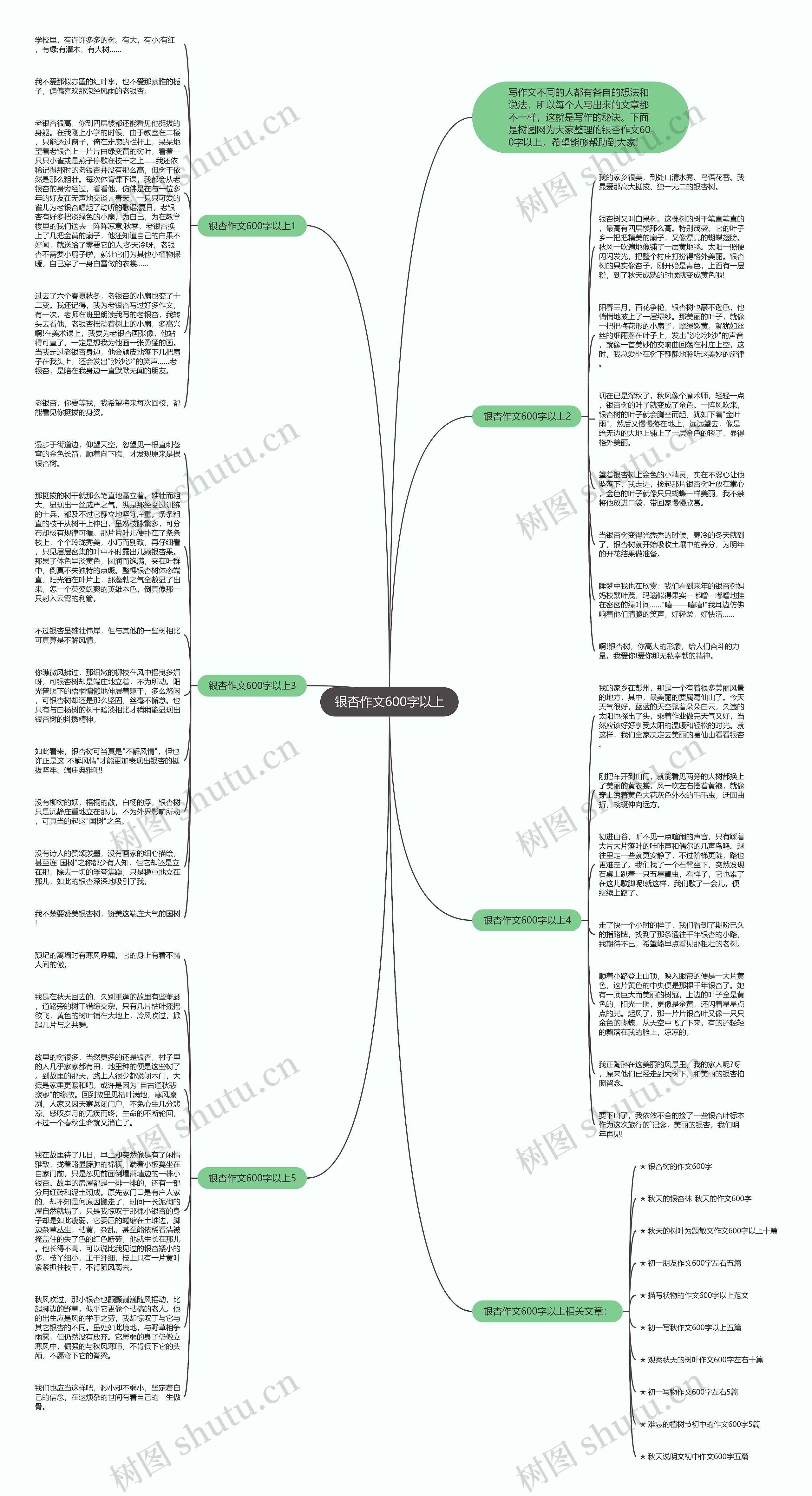 银杏作文600字以上思维导图