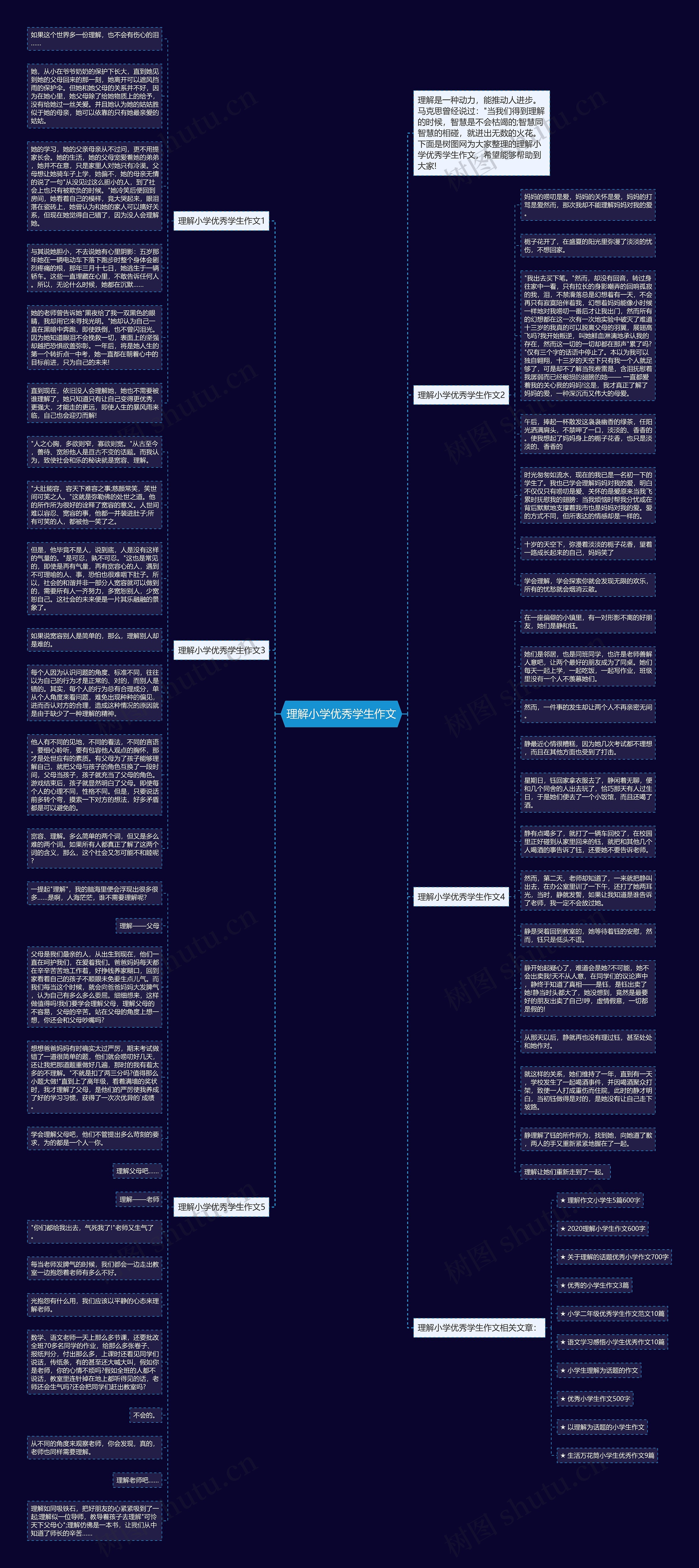 理解小学优秀学生作文思维导图