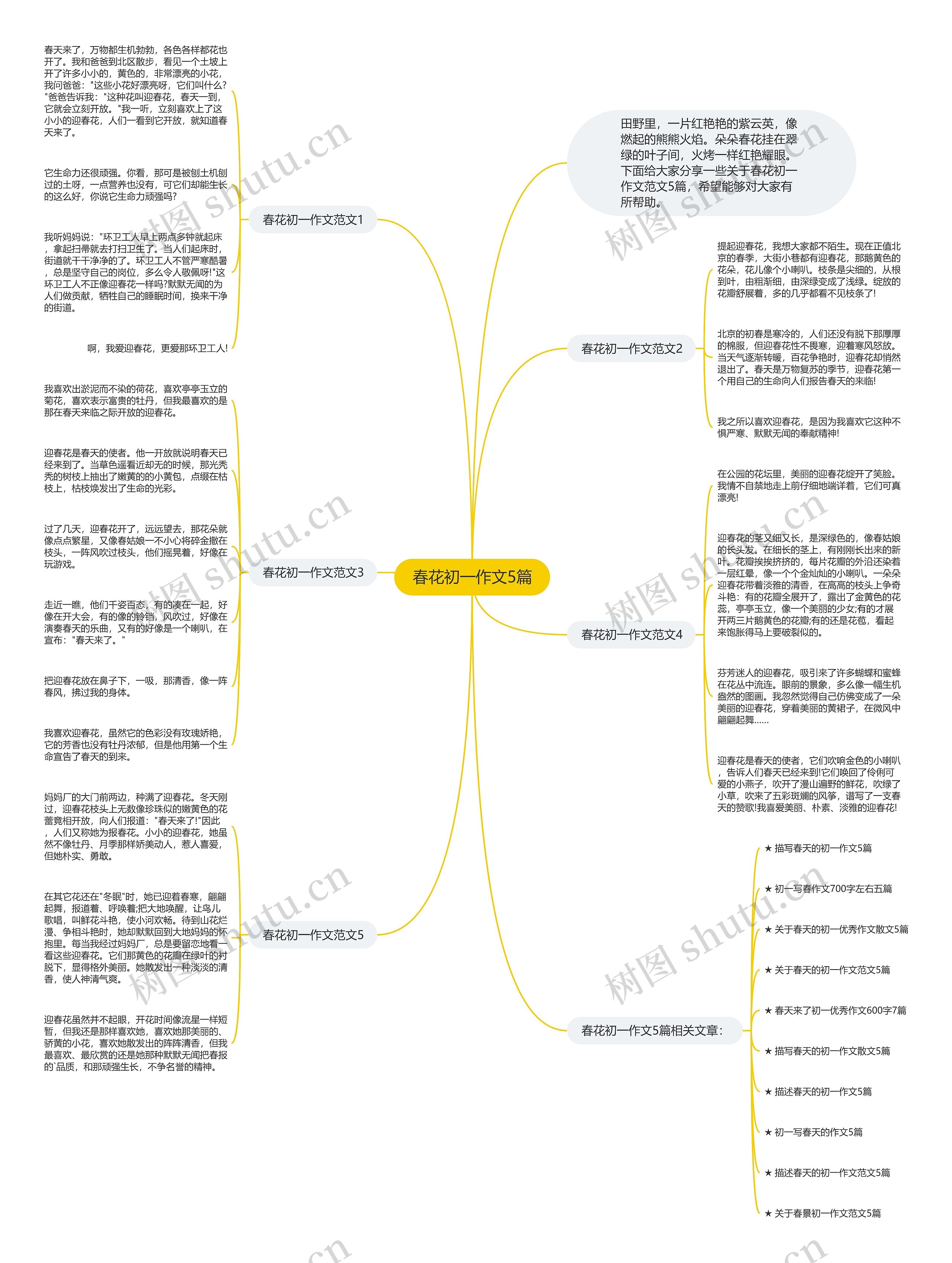 春花初一作文5篇思维导图