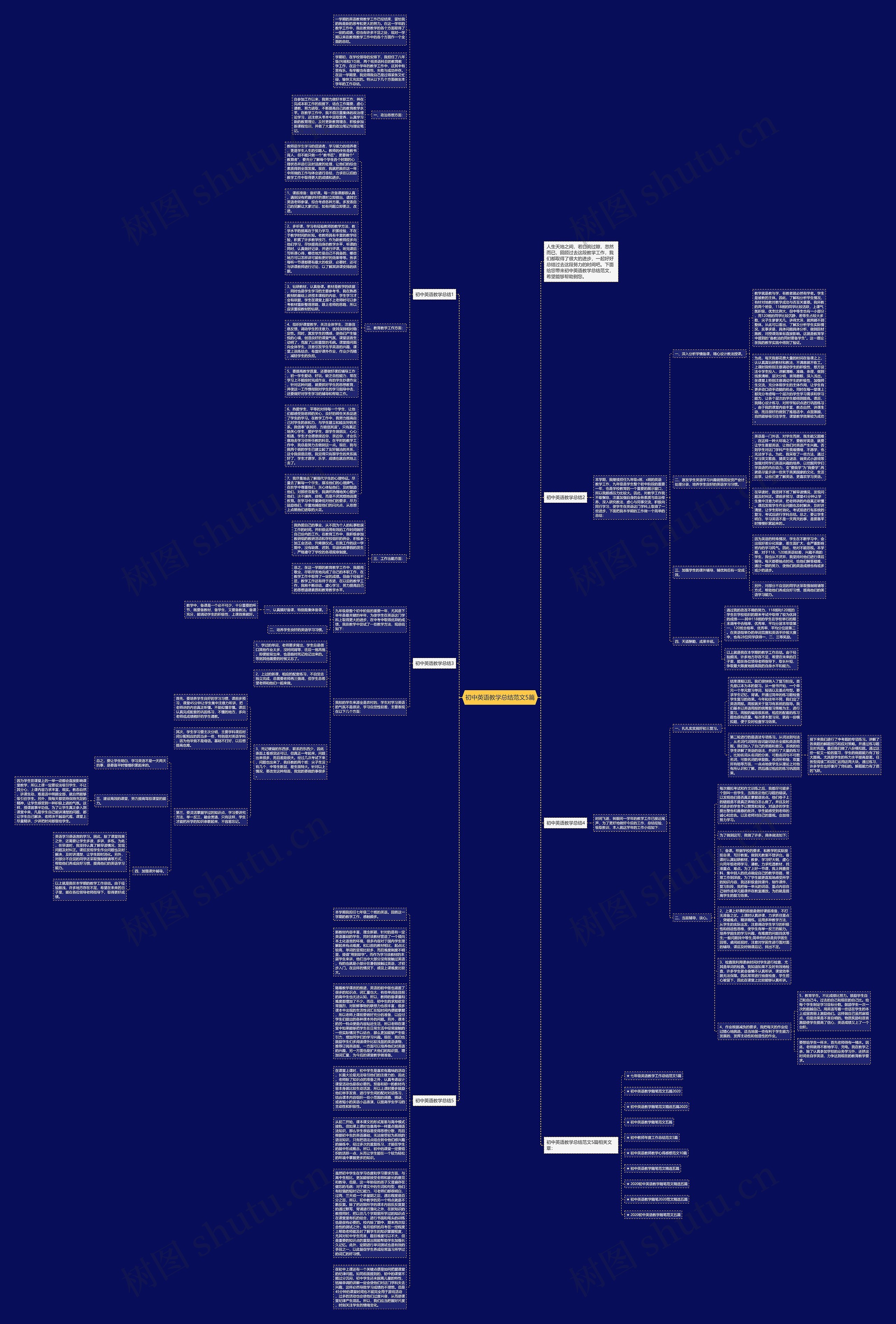 初中英语教学总结范文5篇思维导图