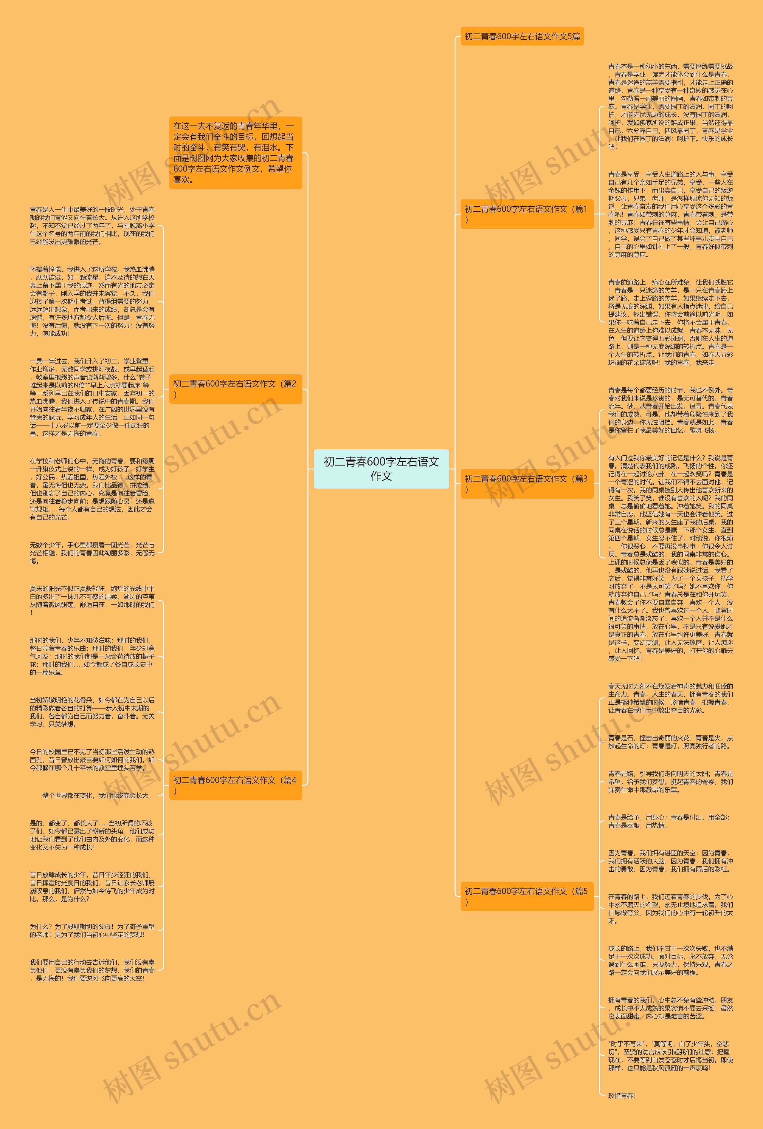 初二青春600字左右语文作文思维导图