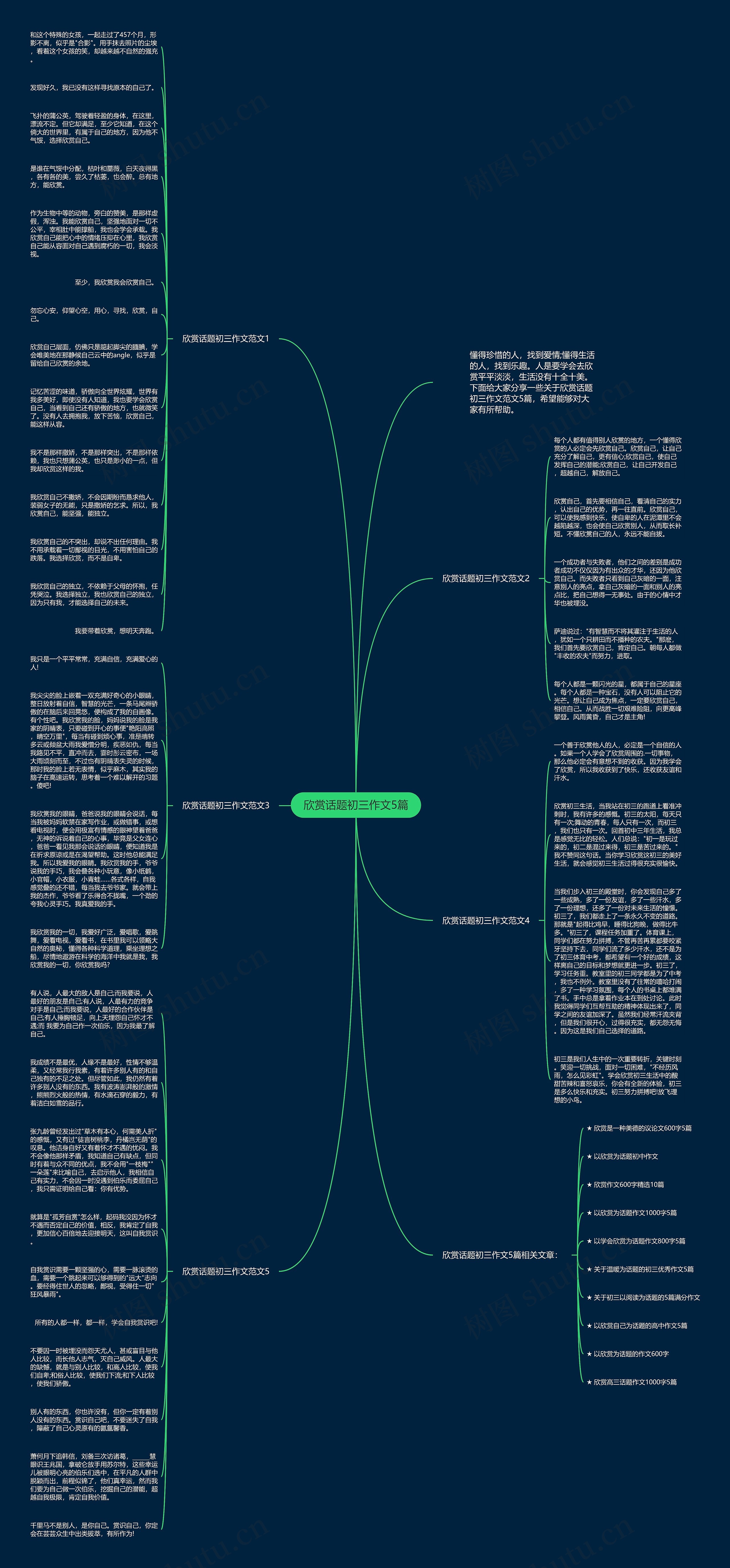 欣赏话题初三作文5篇思维导图