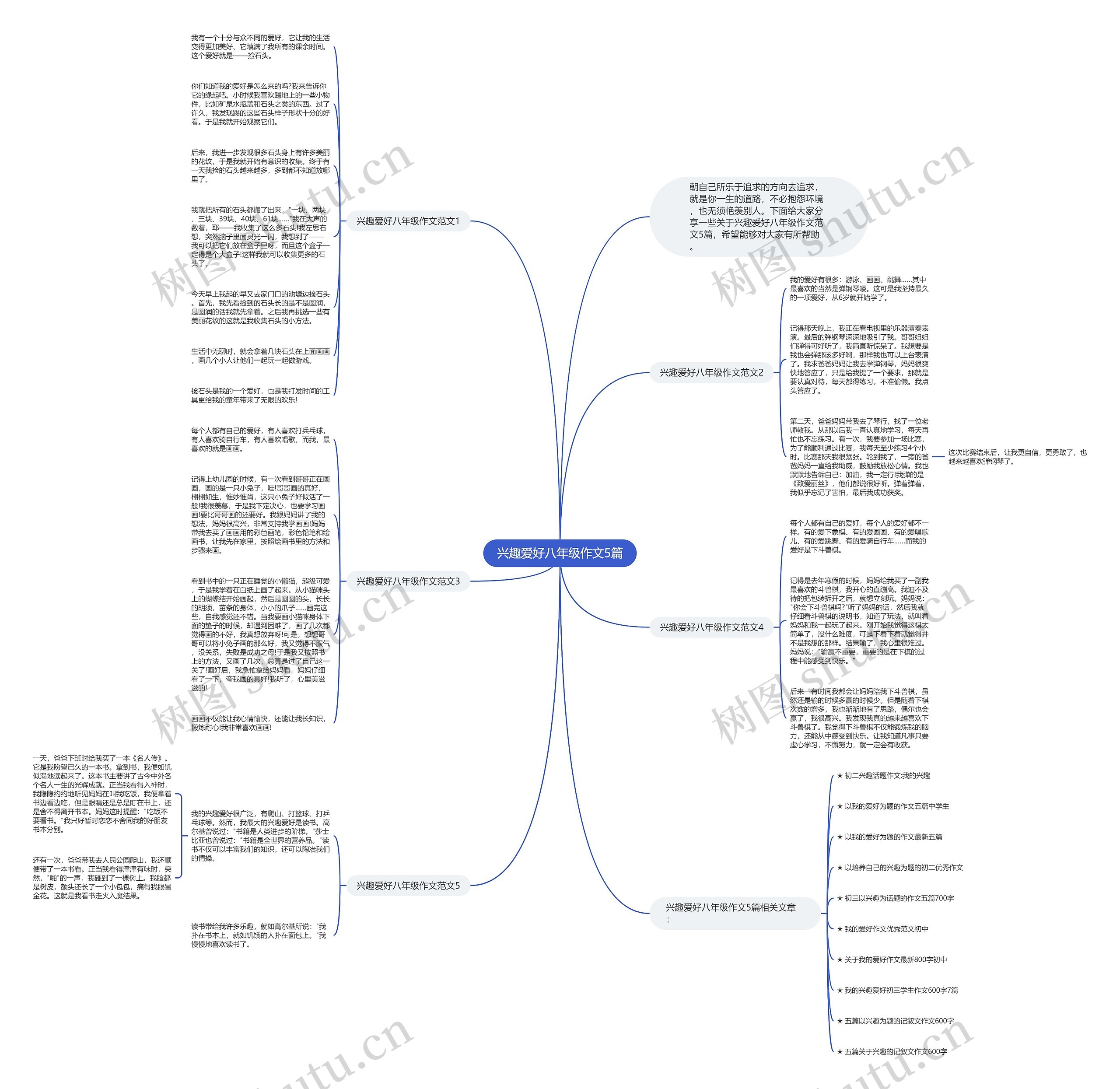 兴趣爱好八年级作文5篇思维导图
