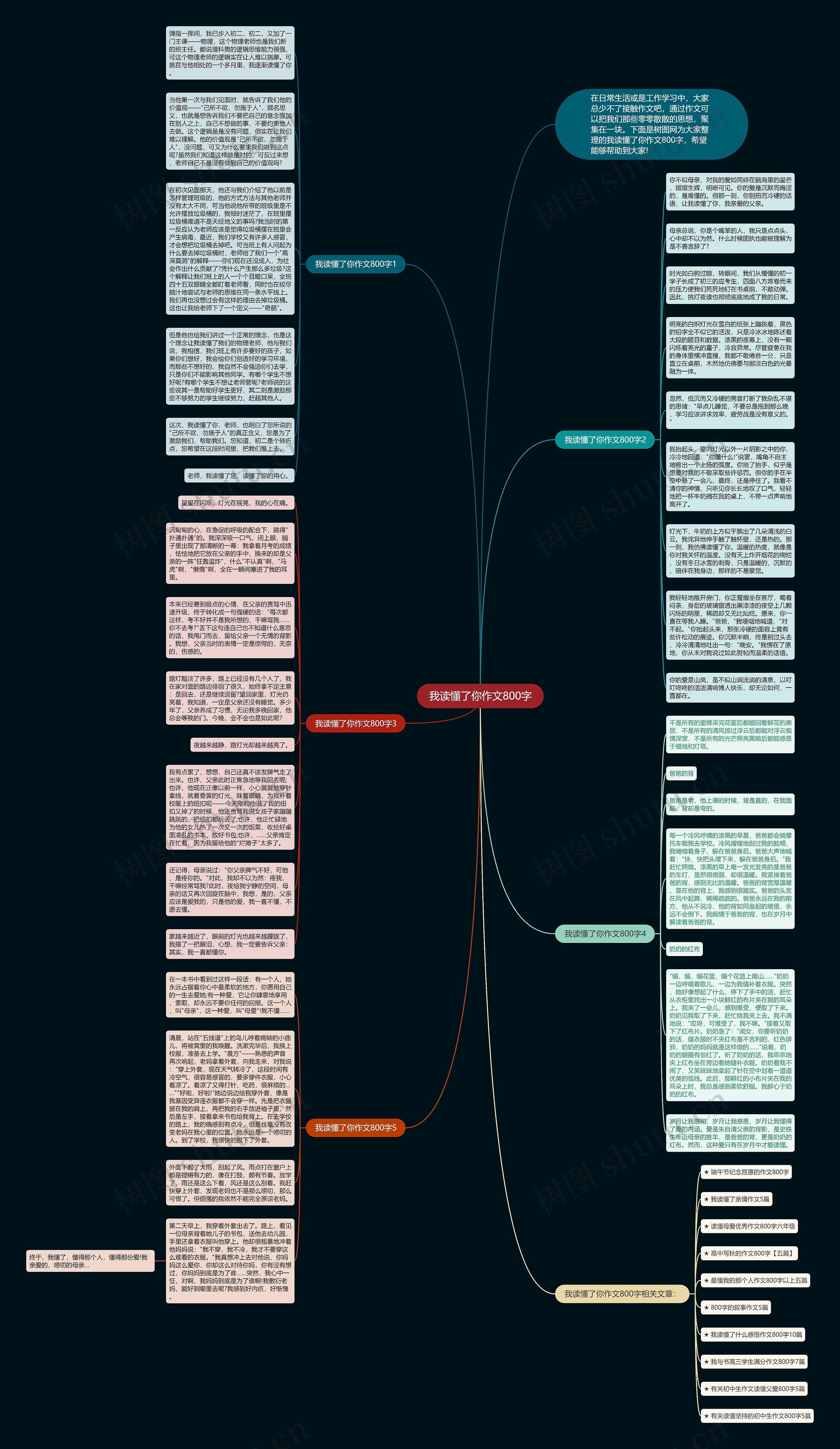我读懂了你作文800字思维导图