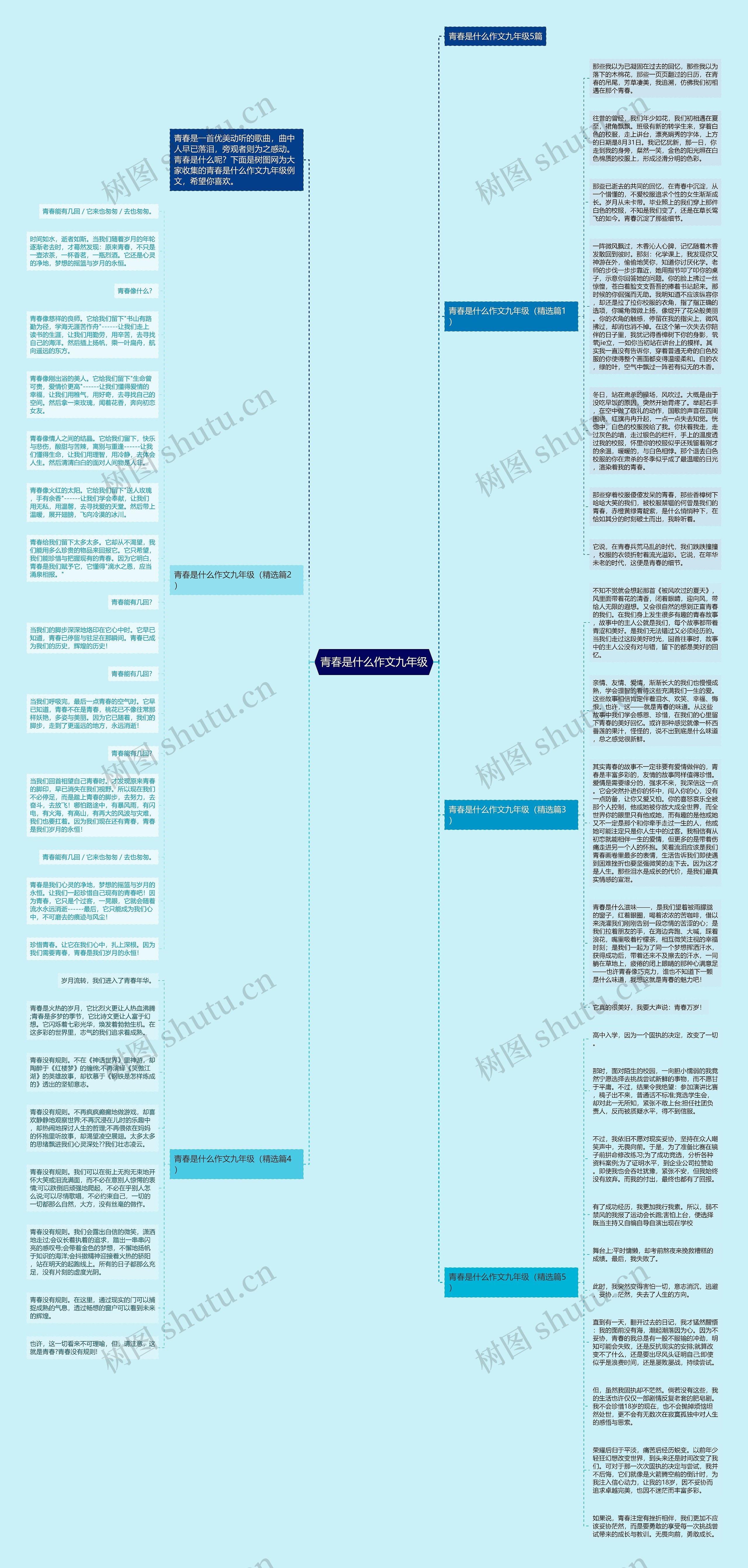 青春是什么作文九年级思维导图