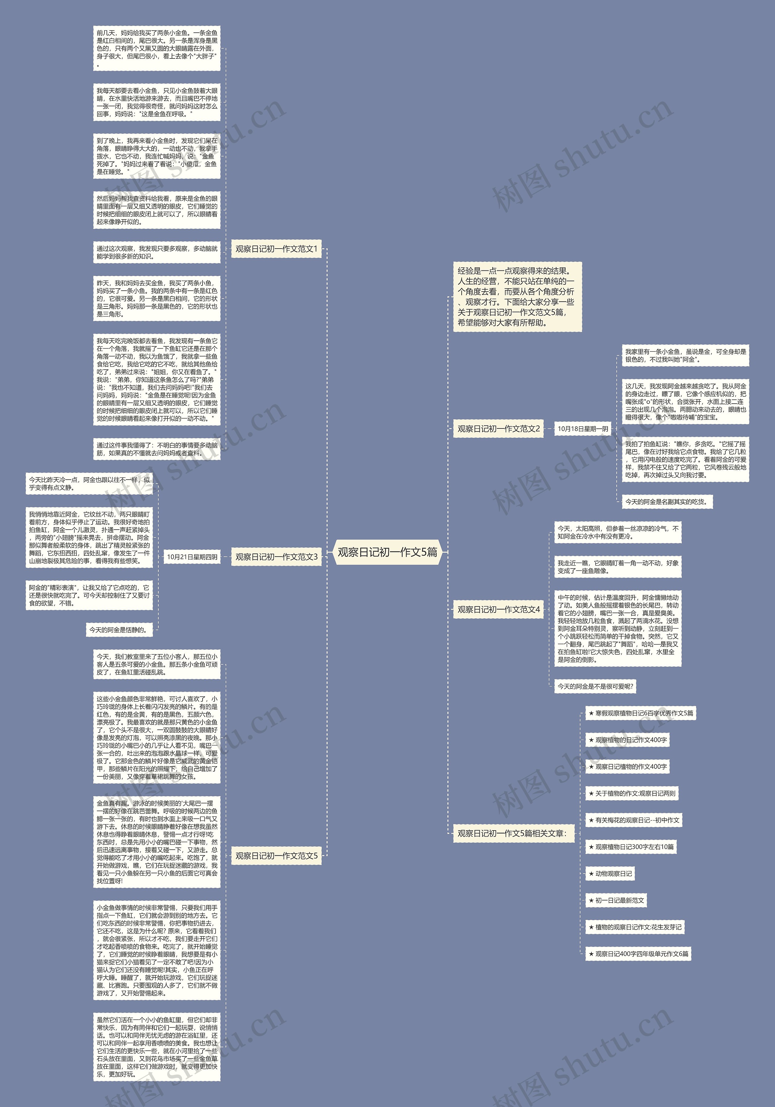 观察日记初一作文5篇思维导图