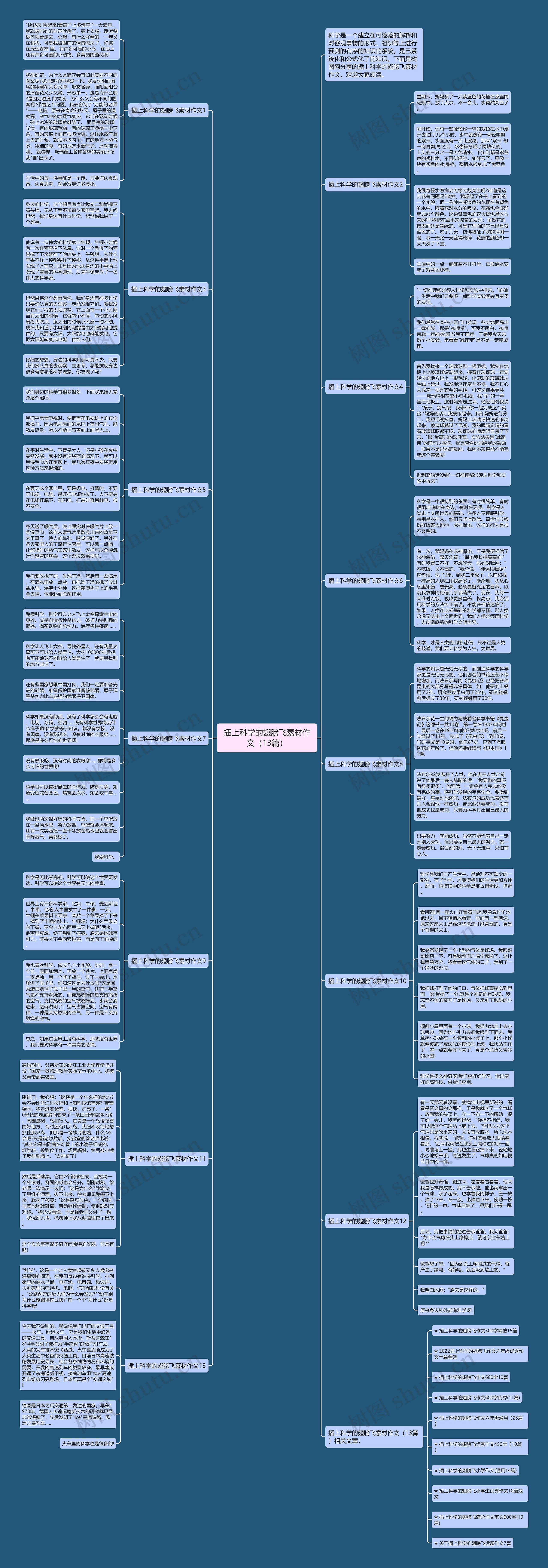 插上科学的翅膀飞素材作文（13篇）思维导图