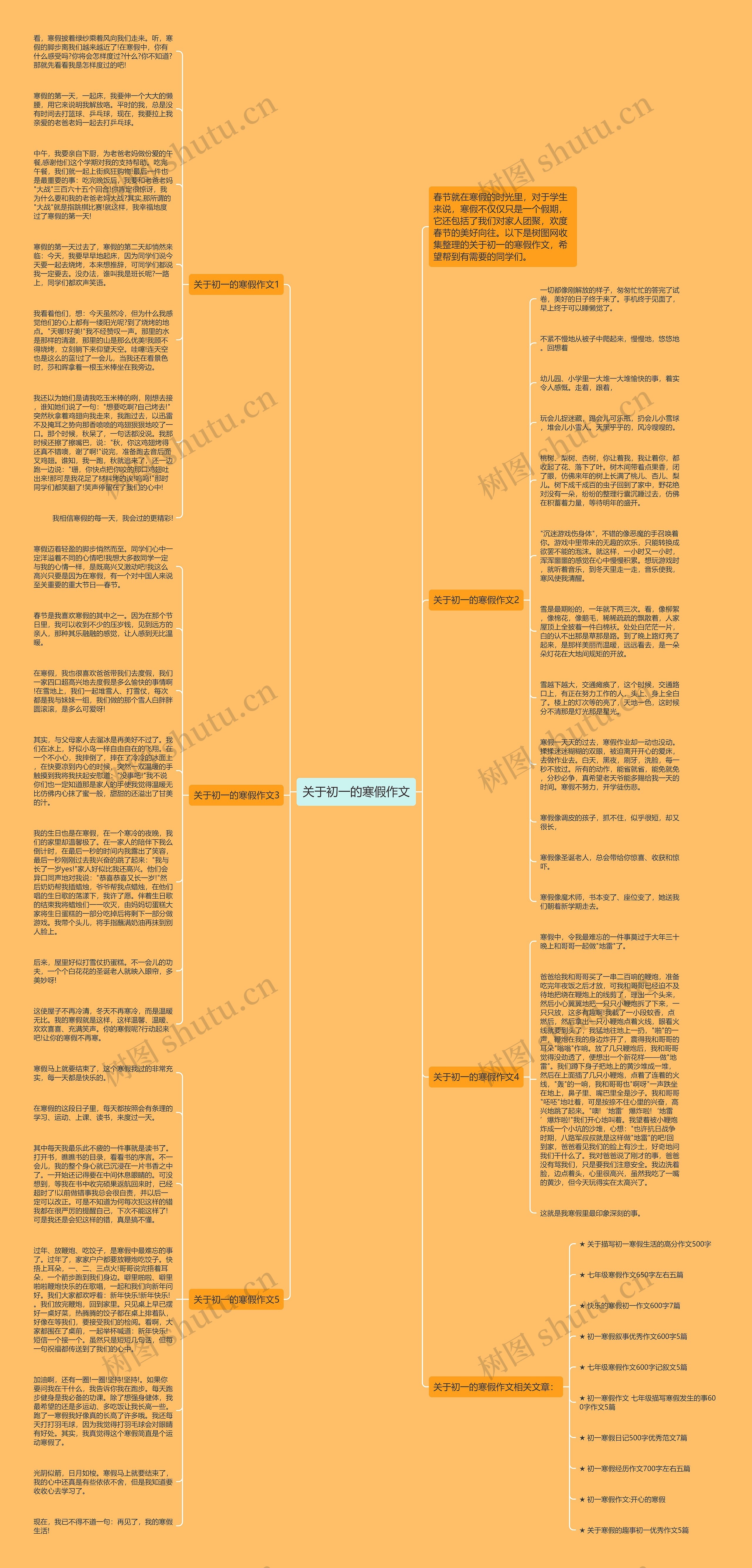 关于初一的寒假作文思维导图