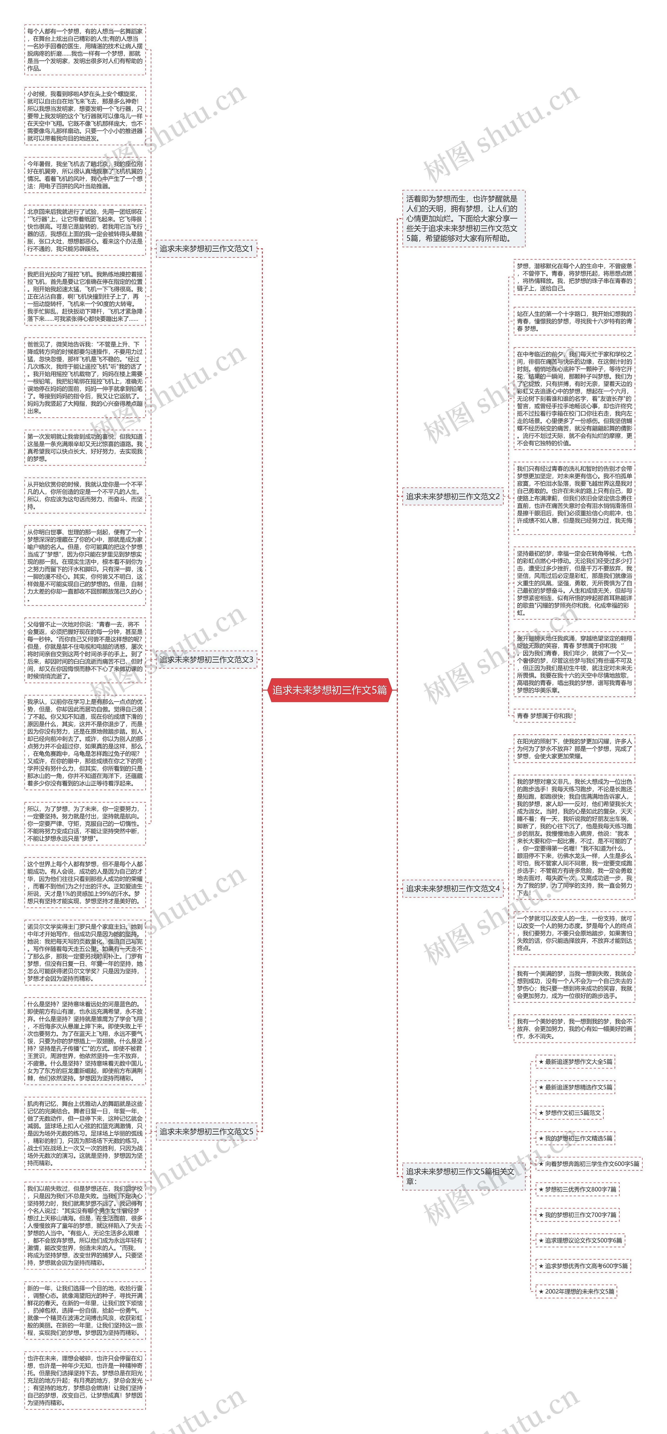 追求未来梦想初三作文5篇思维导图