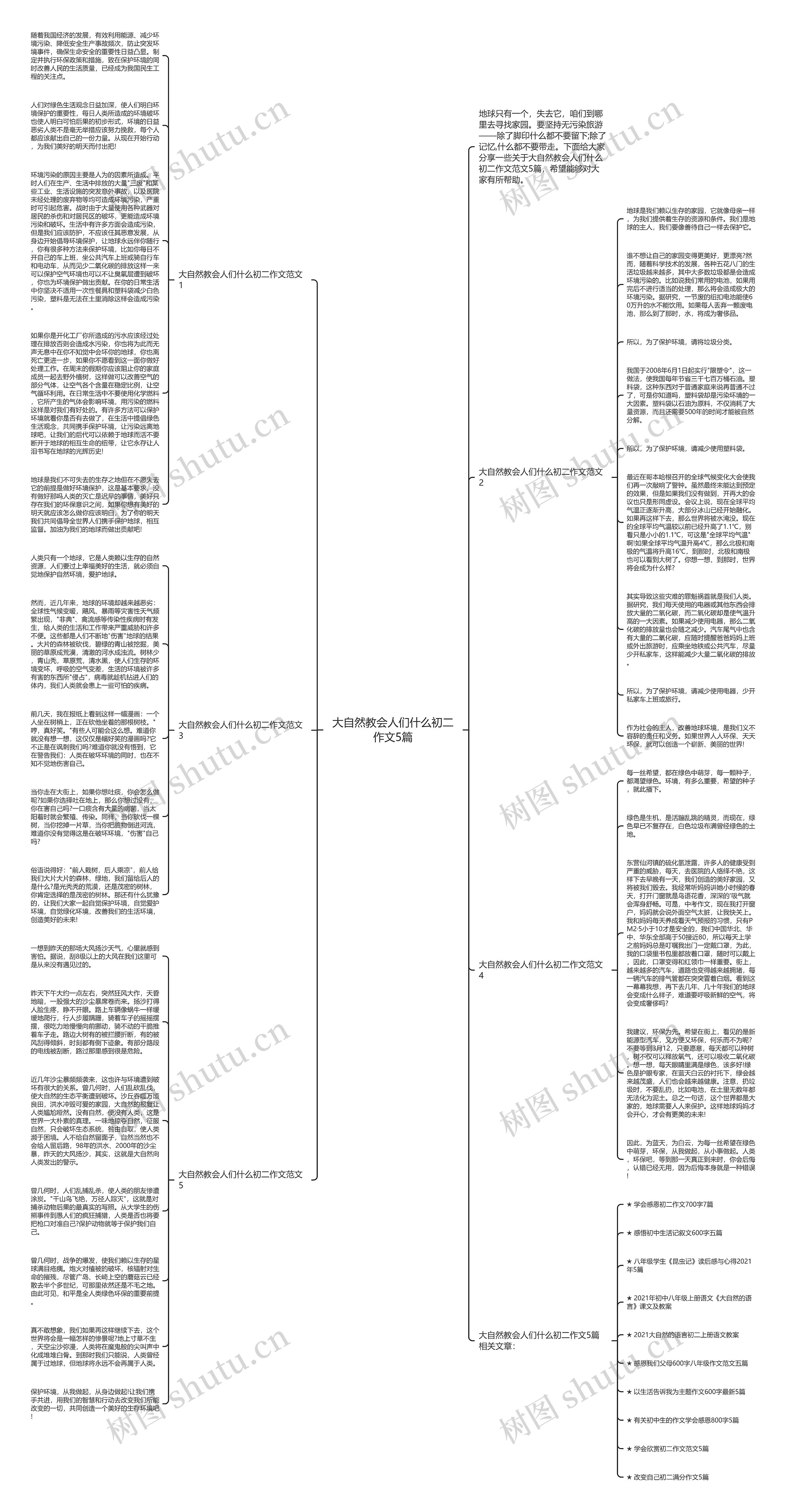 大自然教会人们什么初二作文5篇思维导图