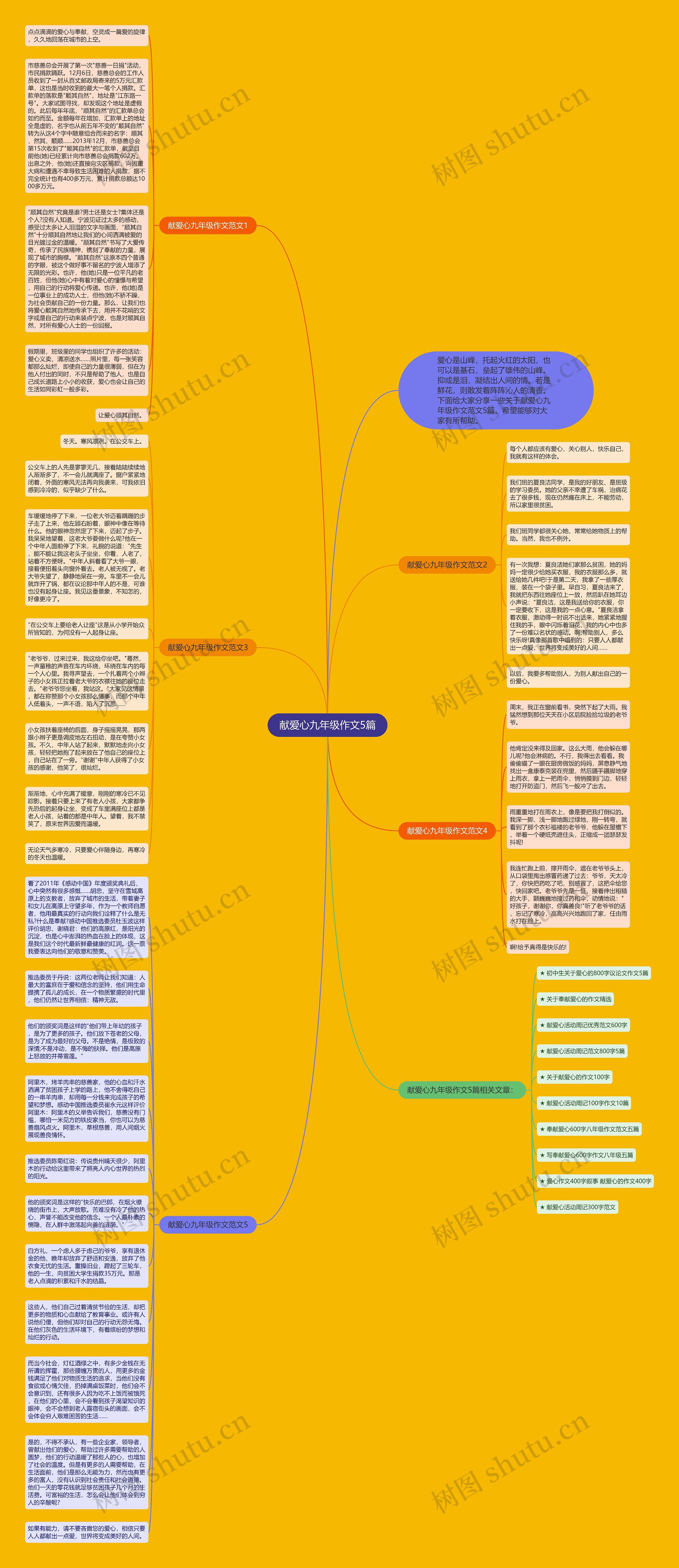 献爱心九年级作文5篇思维导图