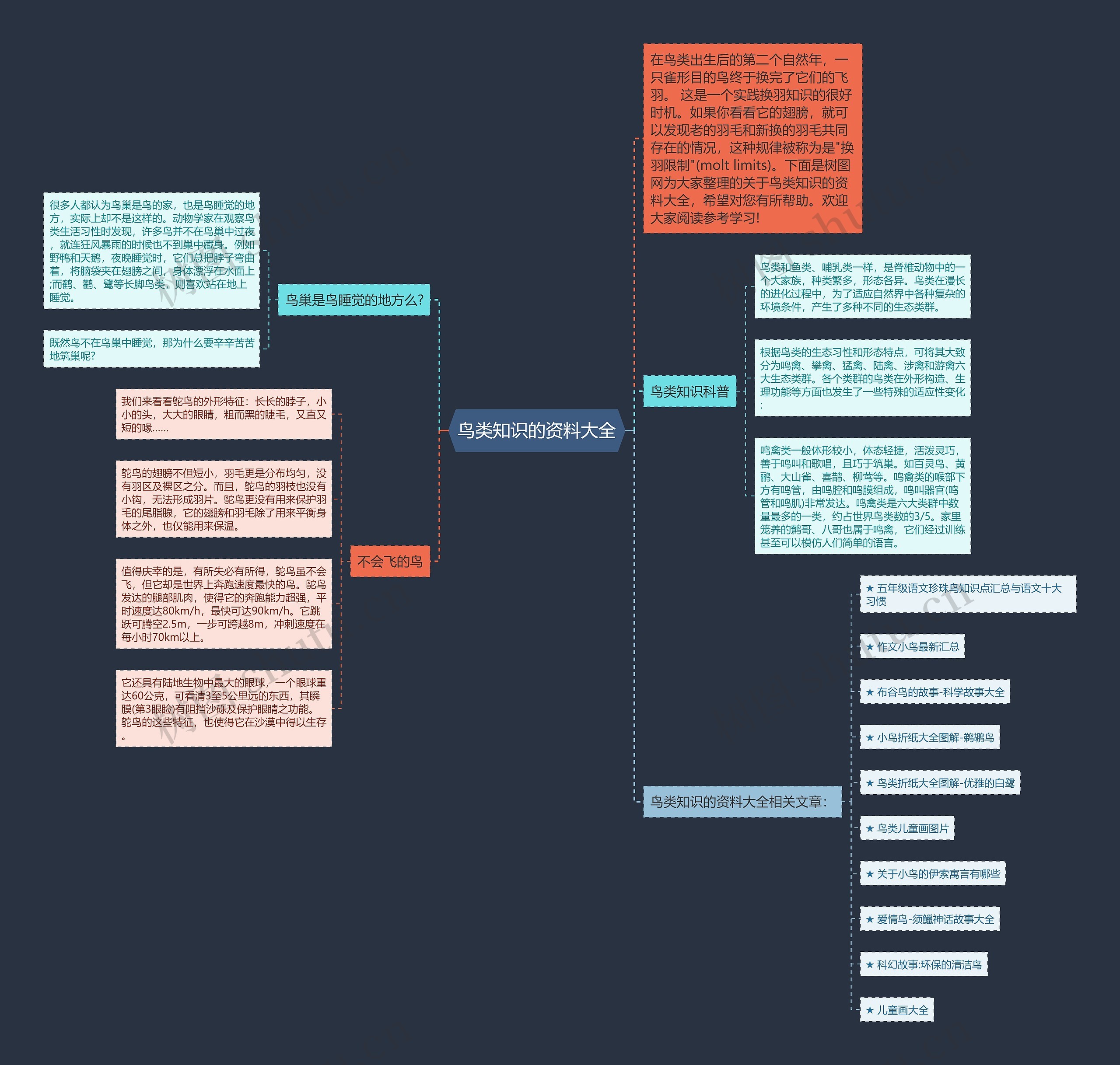 鸟类知识的资料大全思维导图