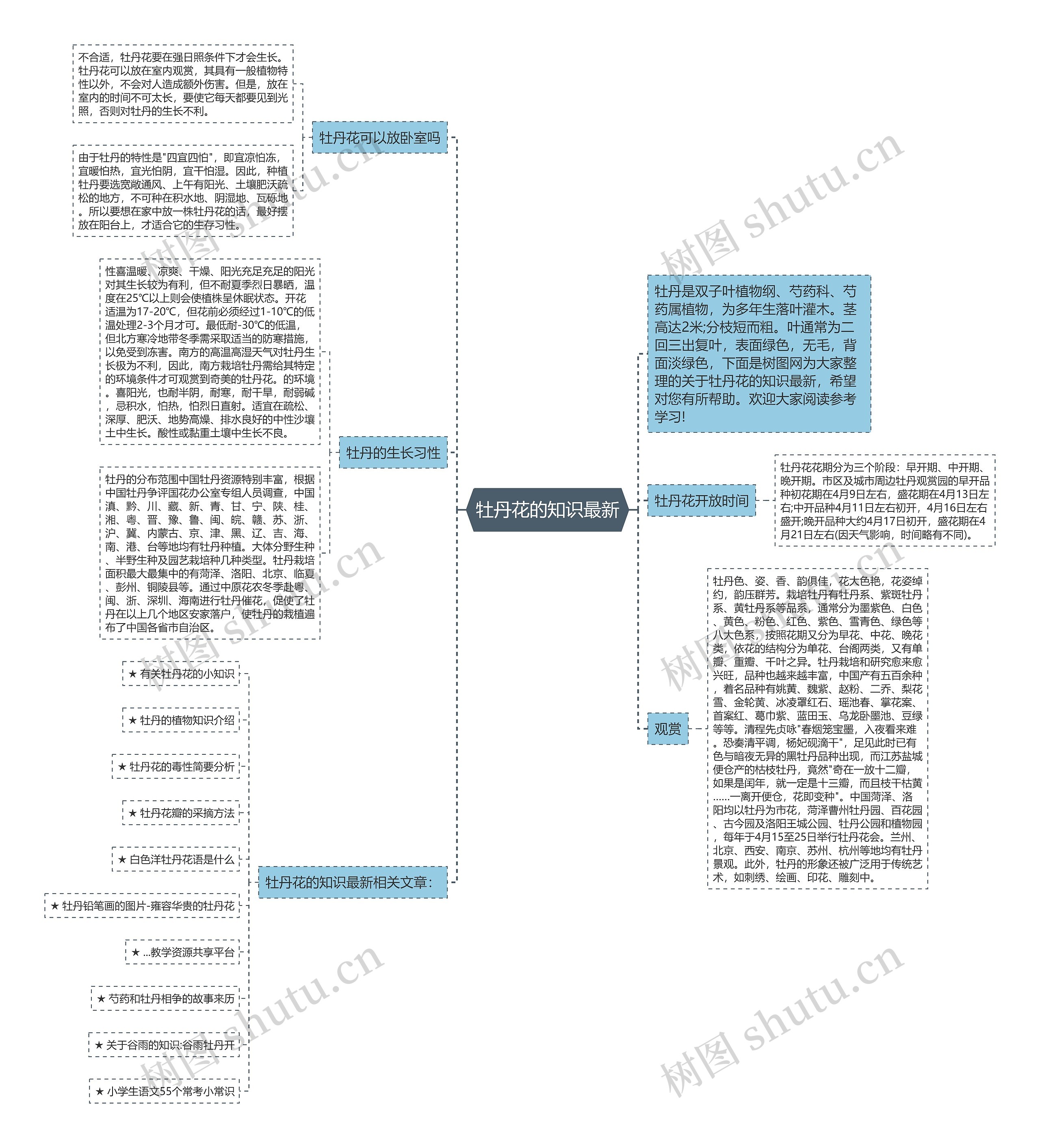 牡丹花的知识最新思维导图
