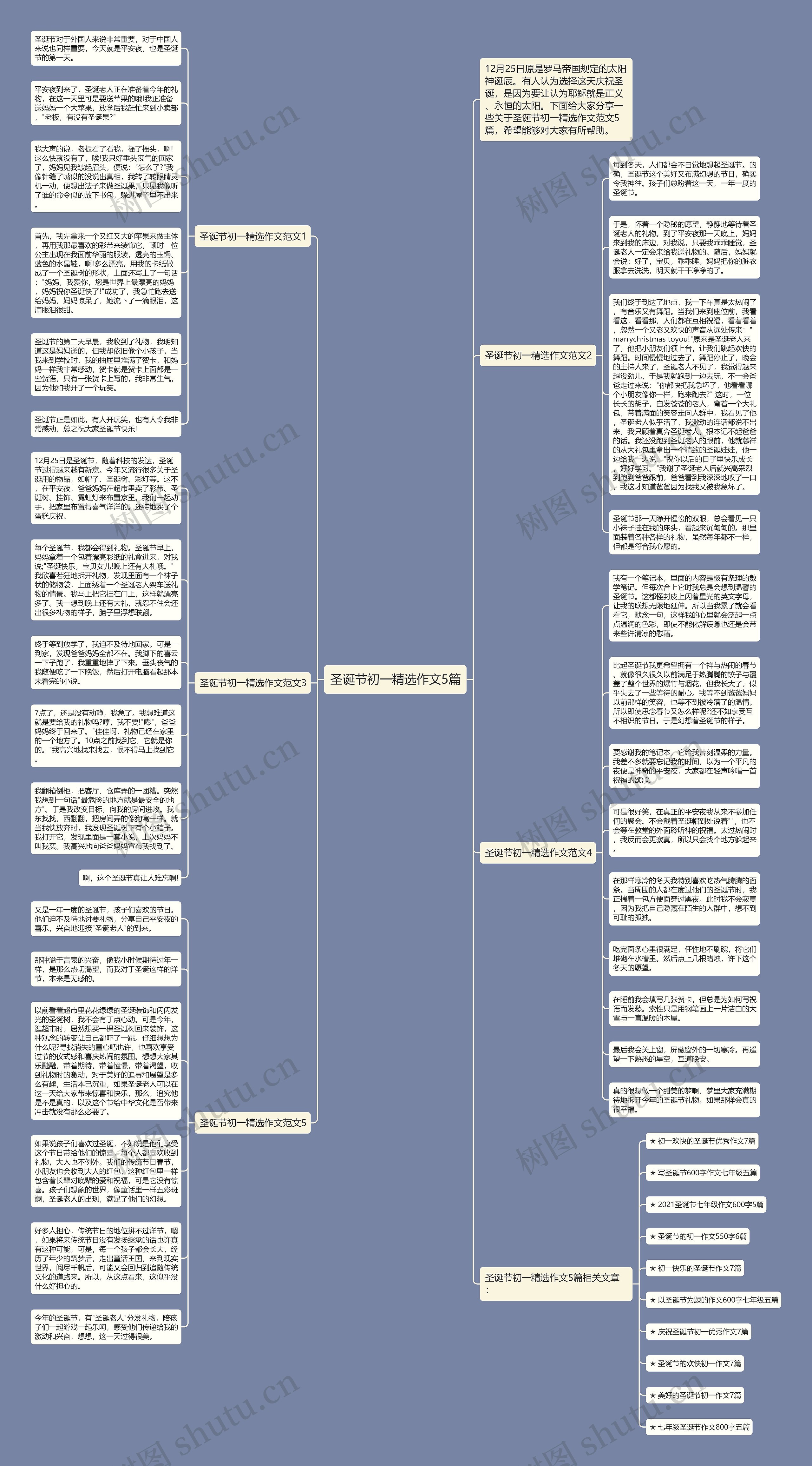 圣诞节初一精选作文5篇思维导图