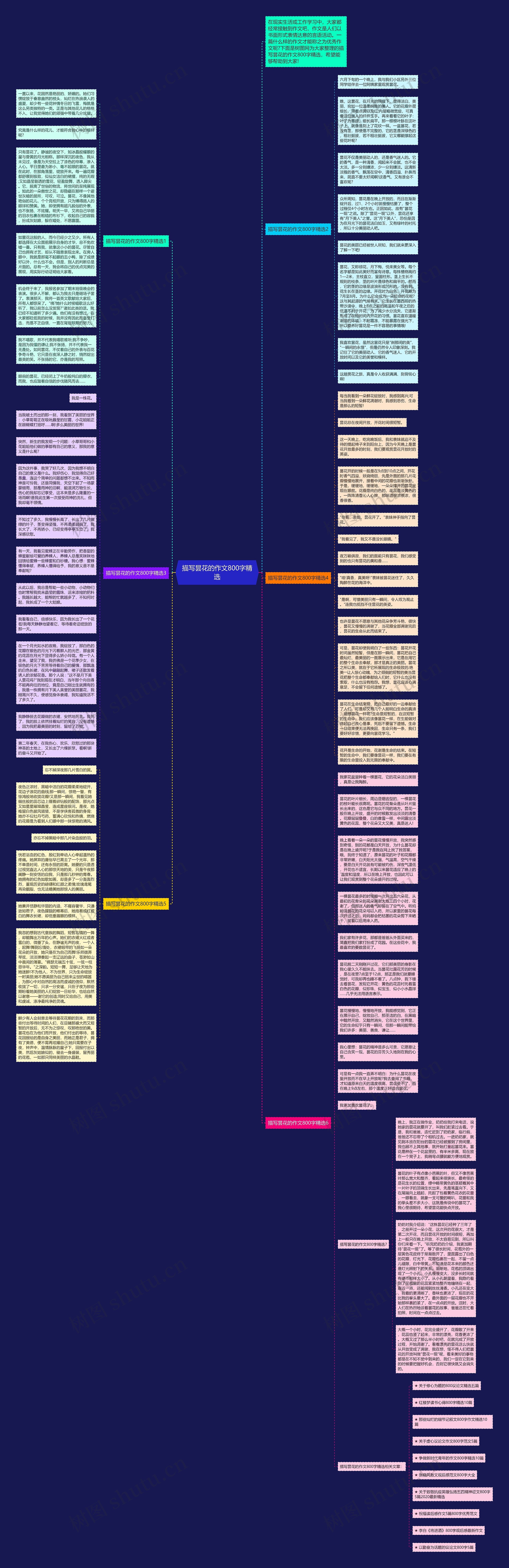 描写昙花的作文800字精选思维导图