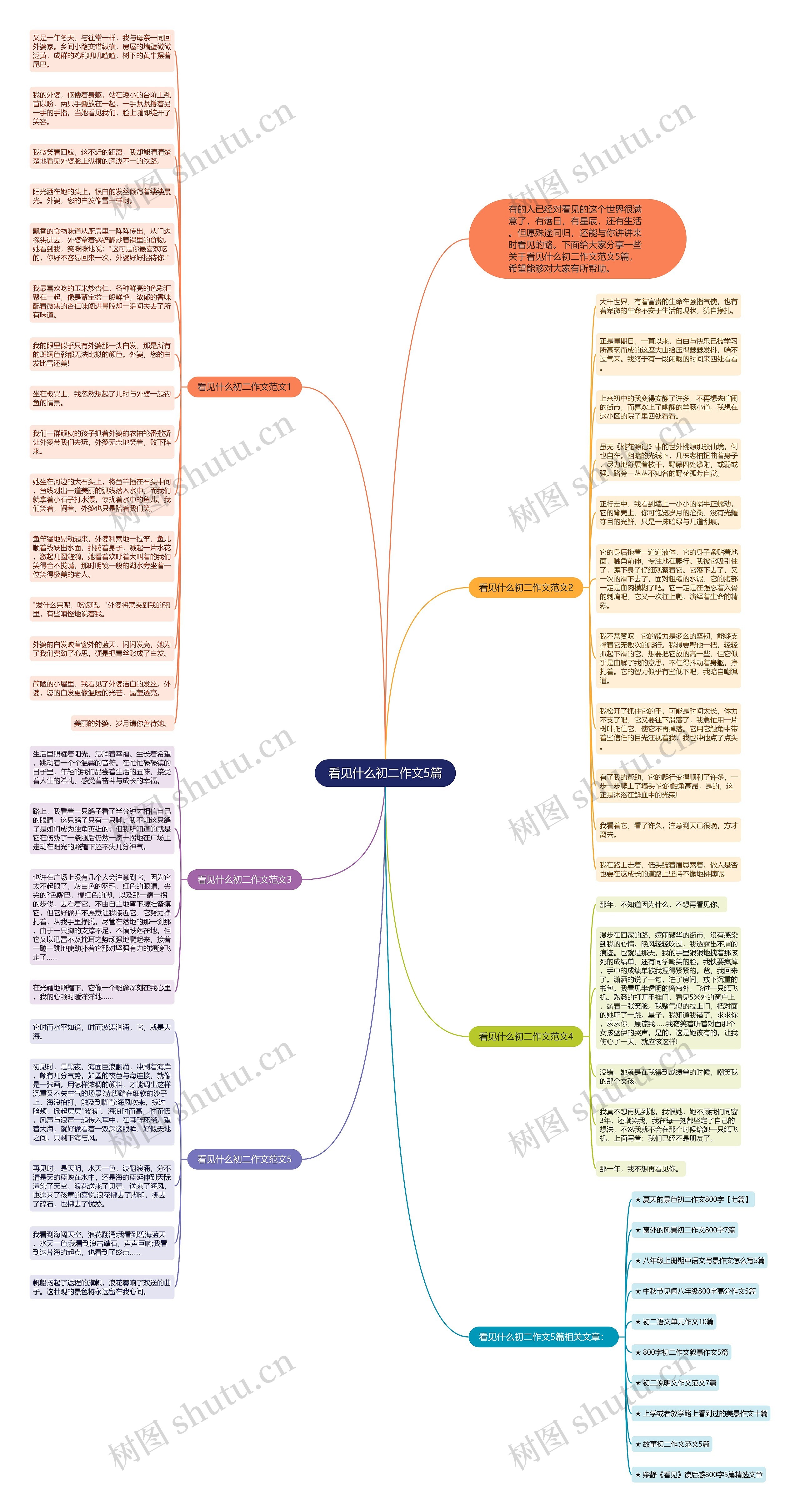 看见什么初二作文5篇思维导图