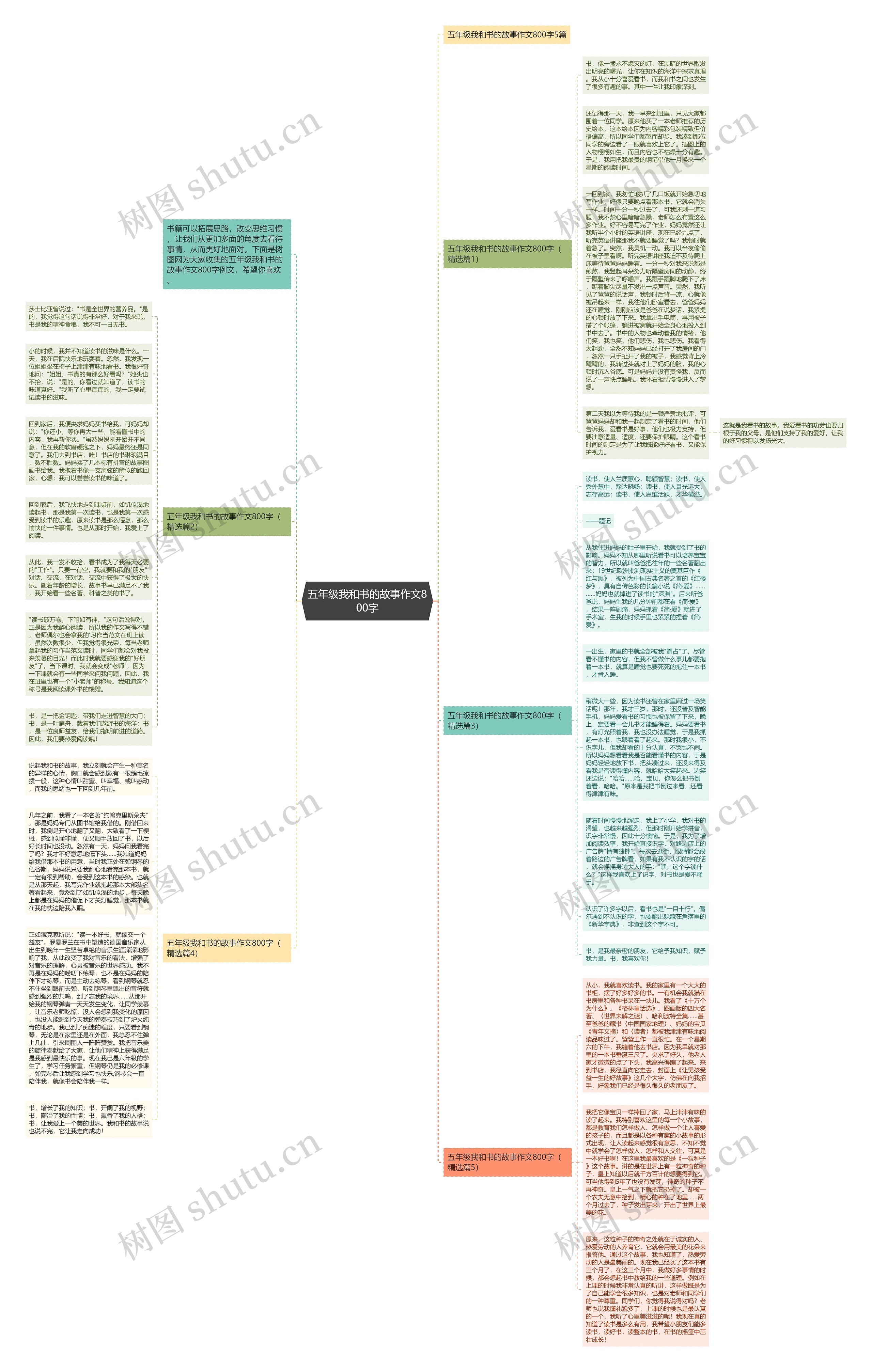 五年级我和书的故事作文800字思维导图