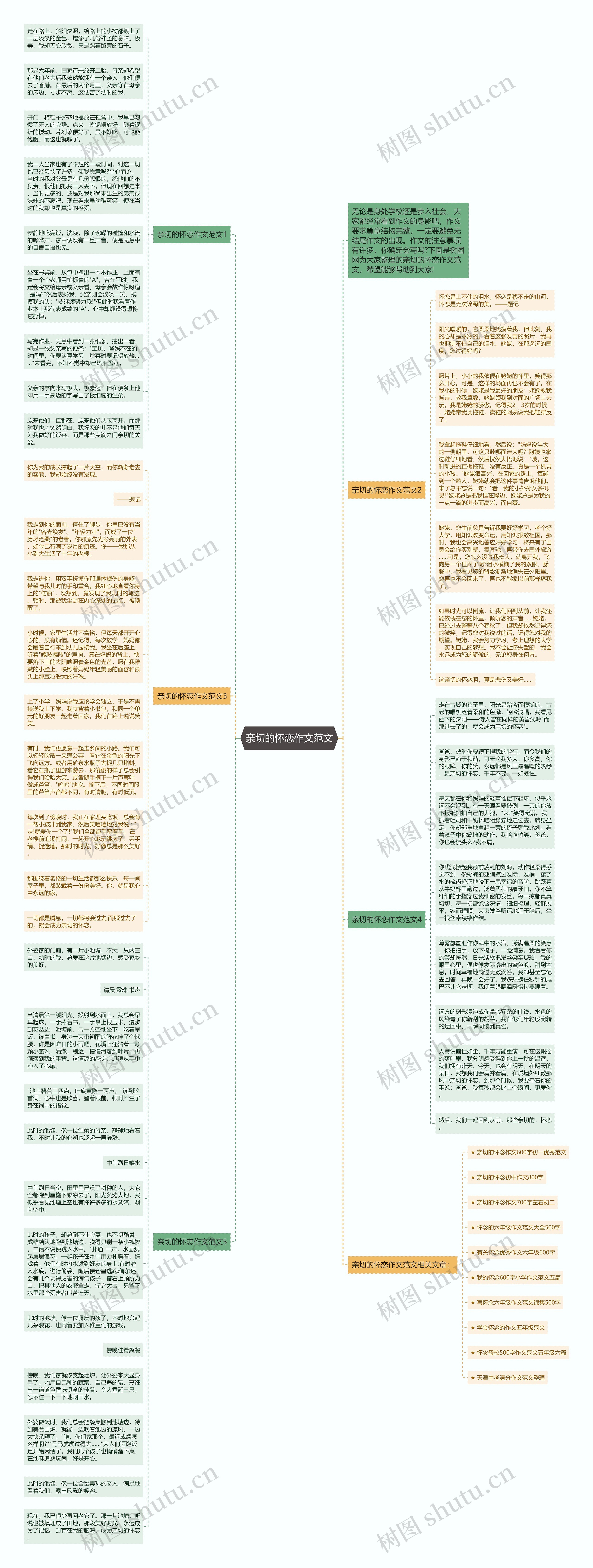 亲切的怀恋作文范文思维导图