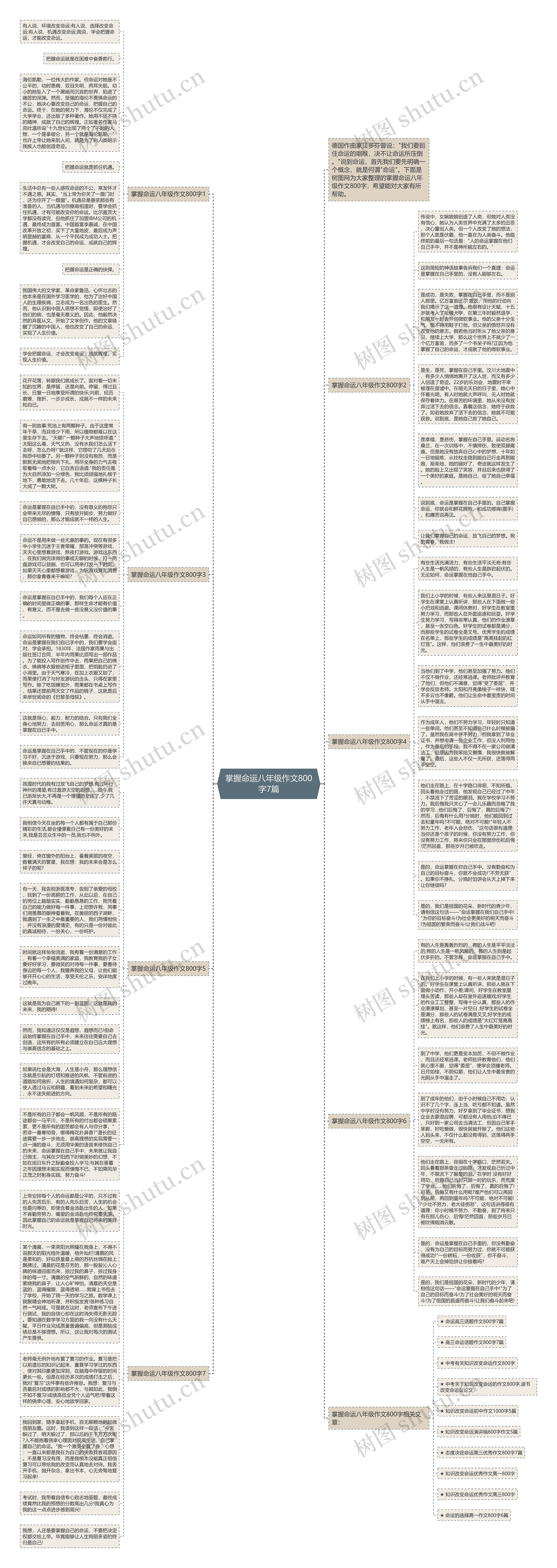 掌握命运八年级作文800字7篇思维导图