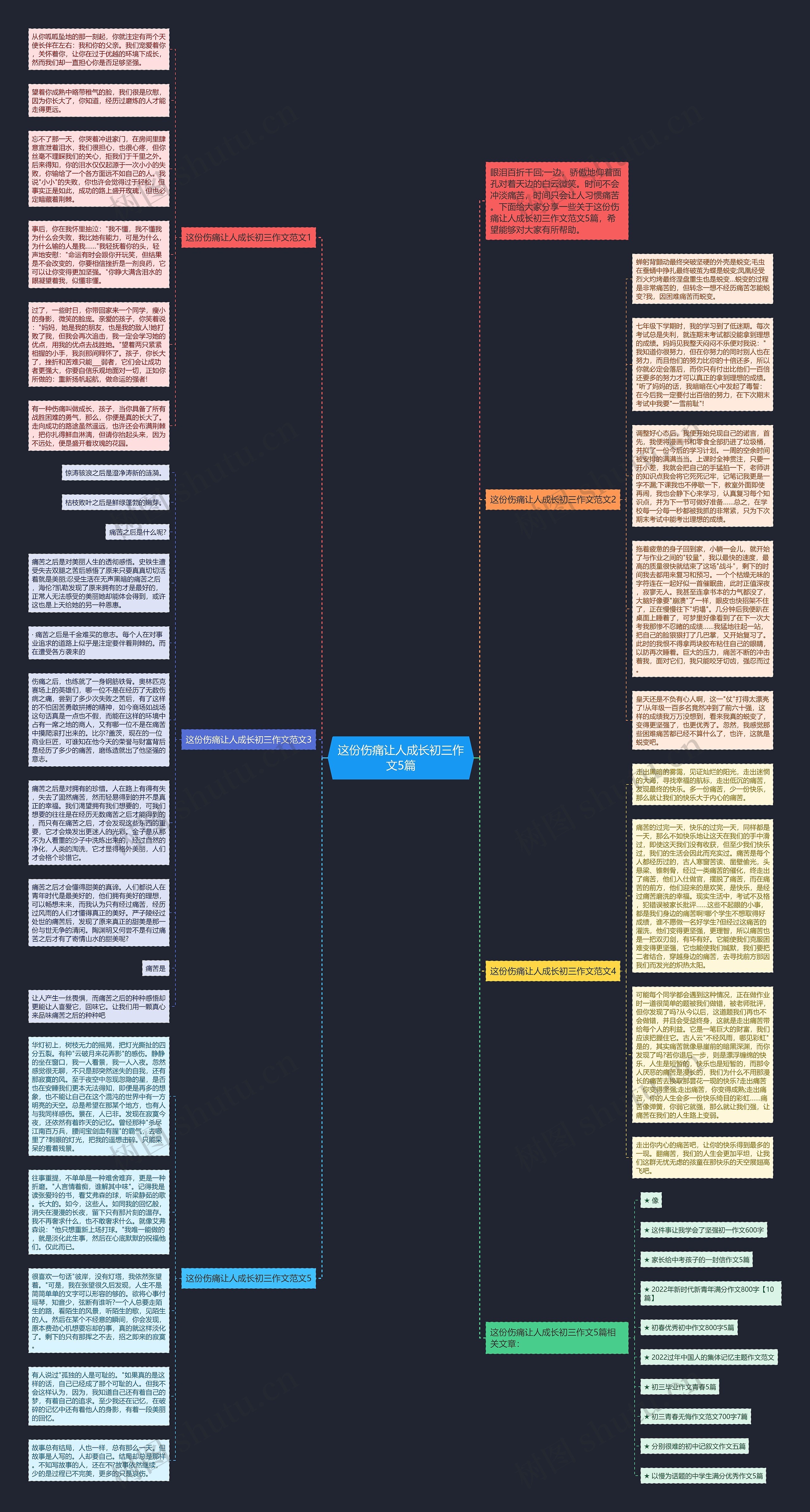 这份伤痛让人成长初三作文5篇思维导图
