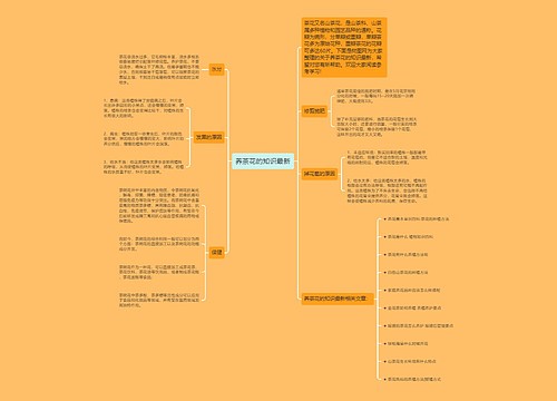 养茶花的知识最新 养茶花的知识最新