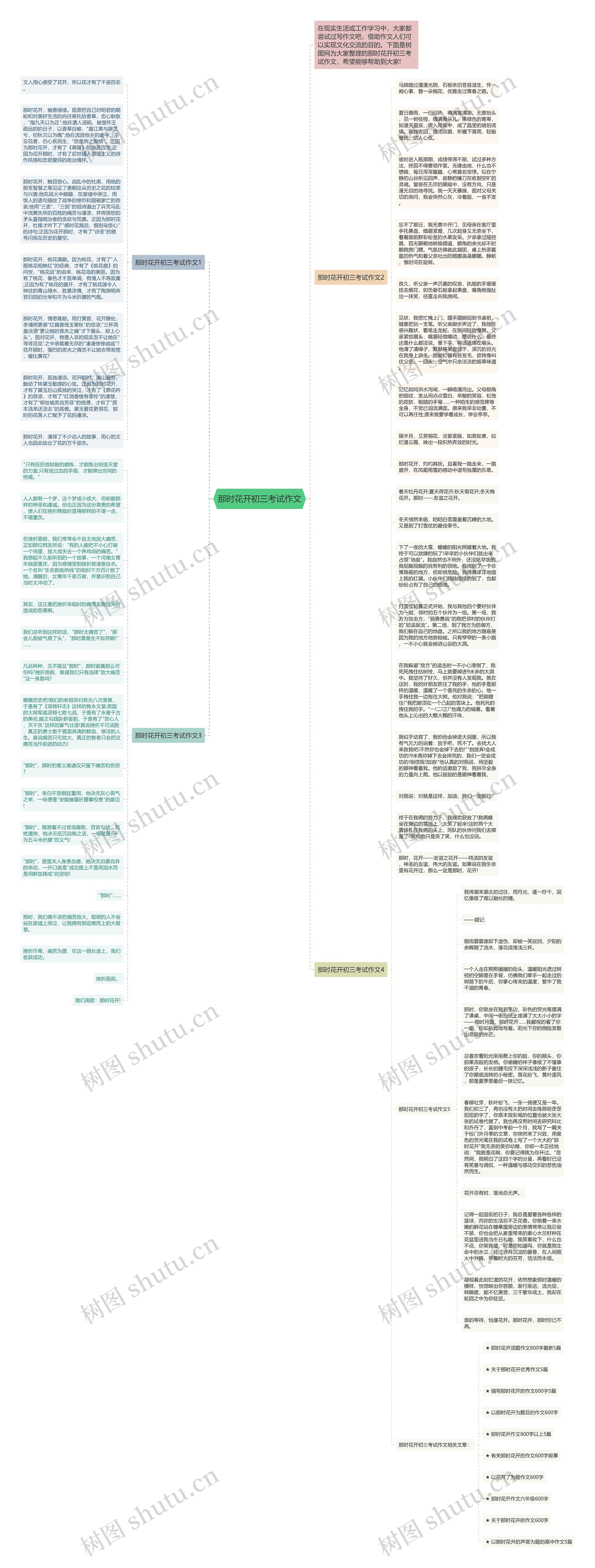 那时花开初三考试作文思维导图