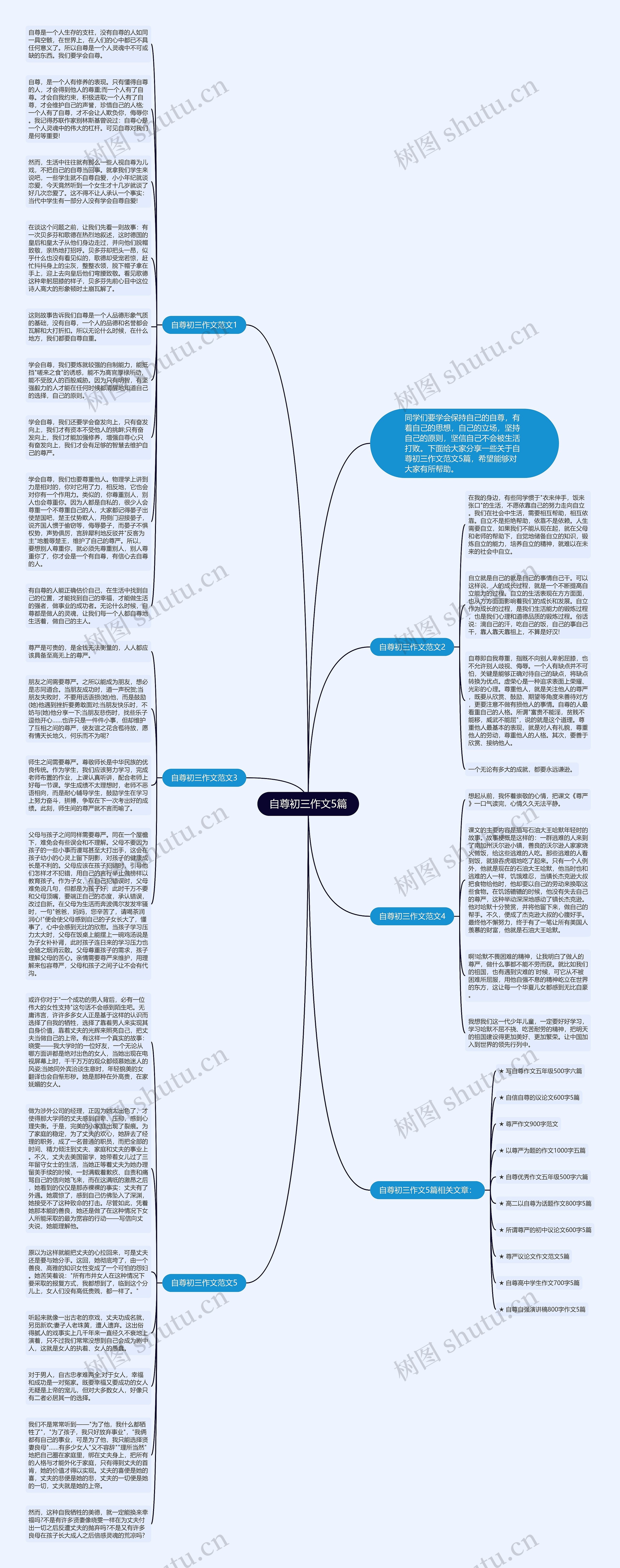 自尊初三作文5篇思维导图
