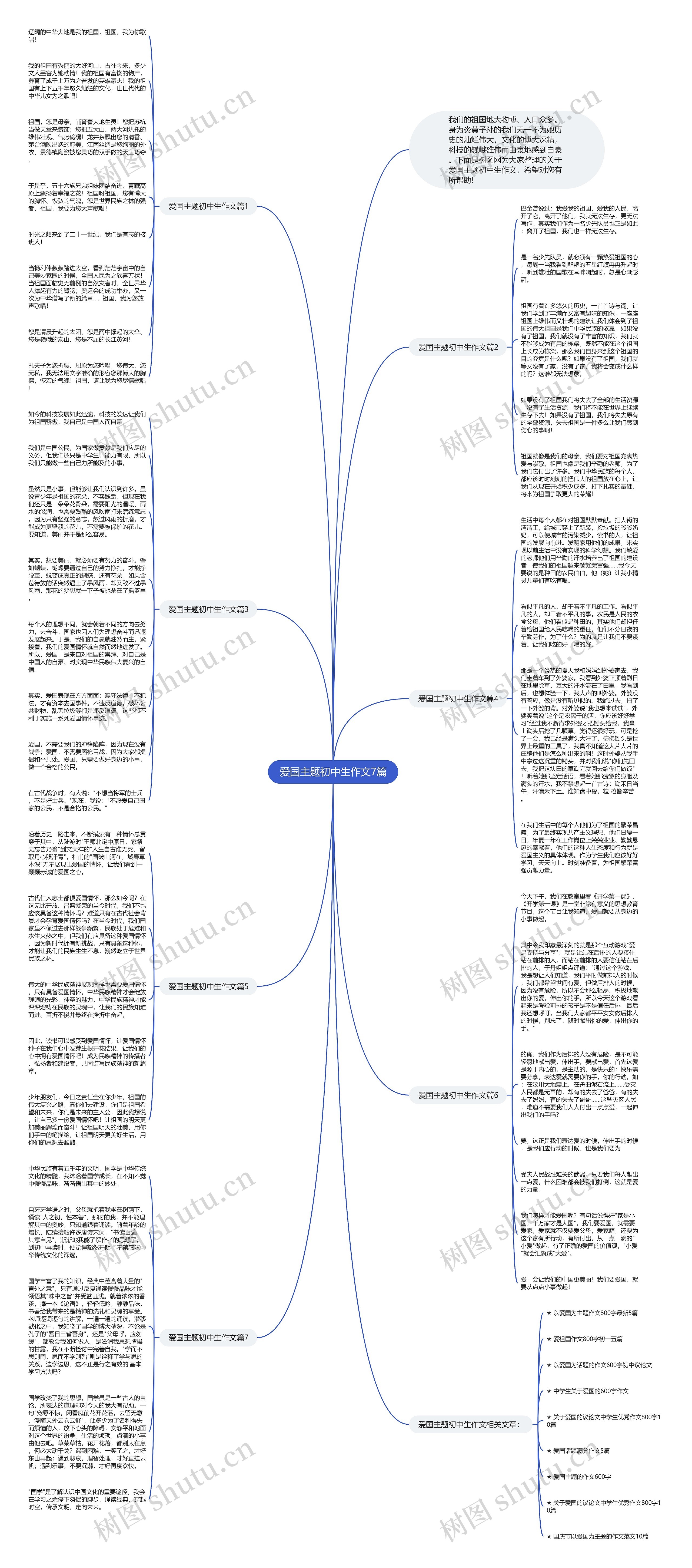 爱国主题初中生作文7篇思维导图