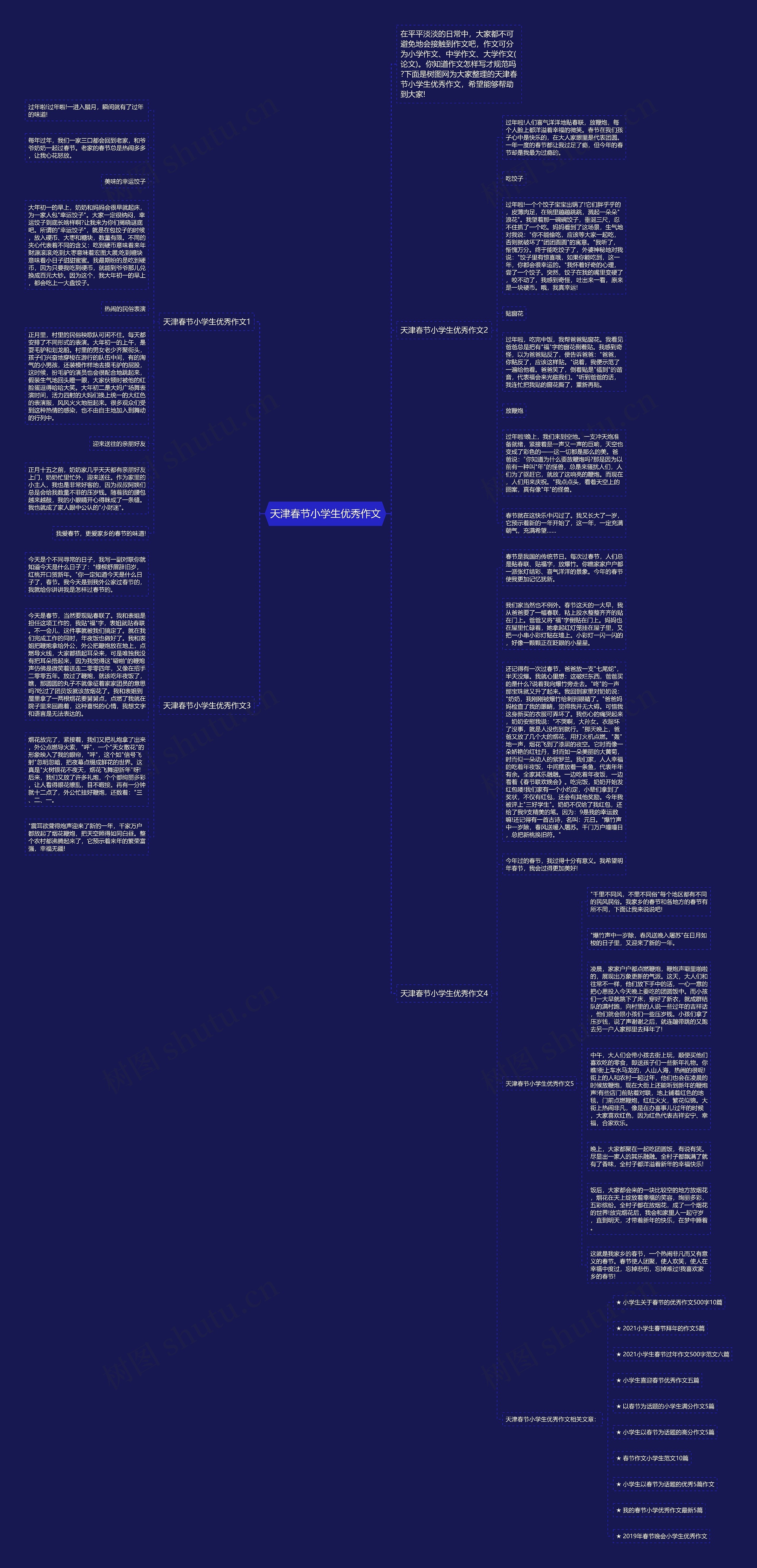 天津春节小学生优秀作文思维导图