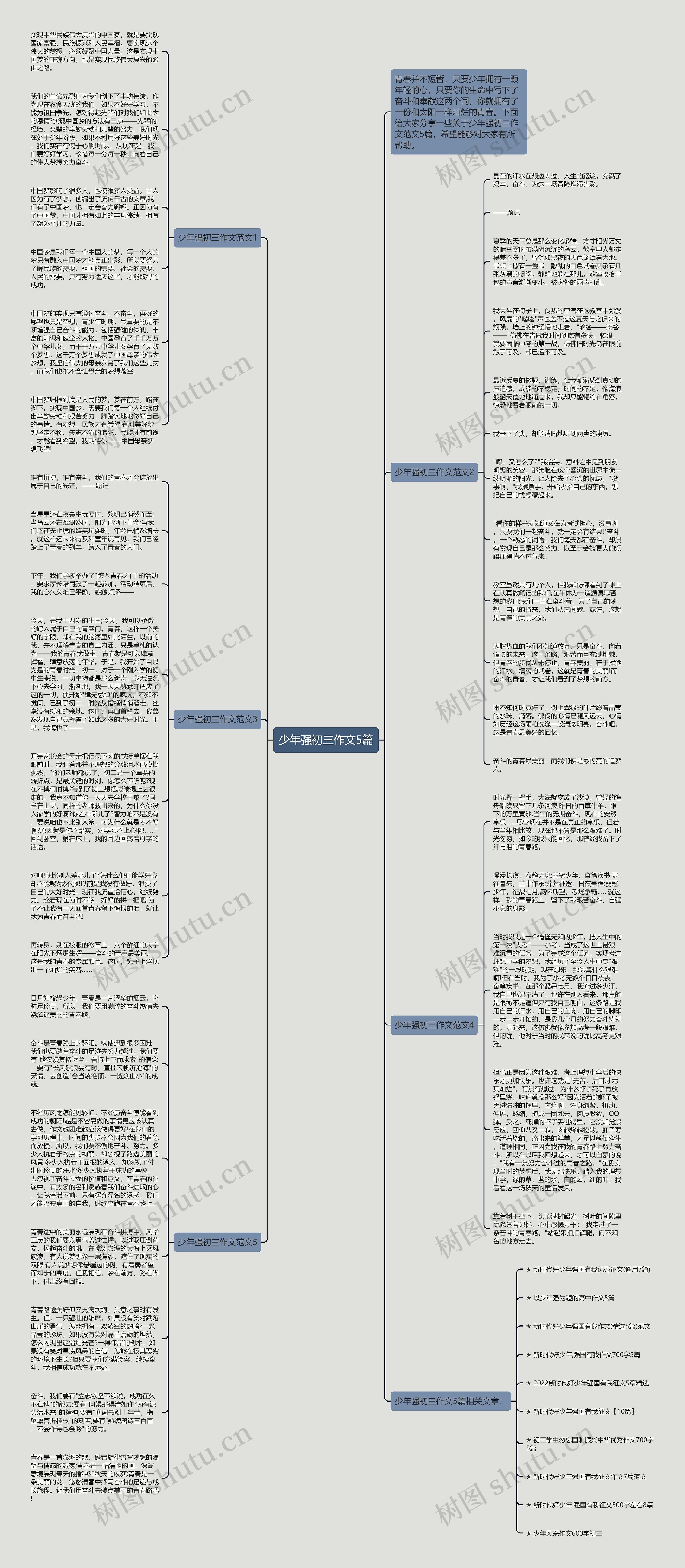 少年强初三作文5篇思维导图